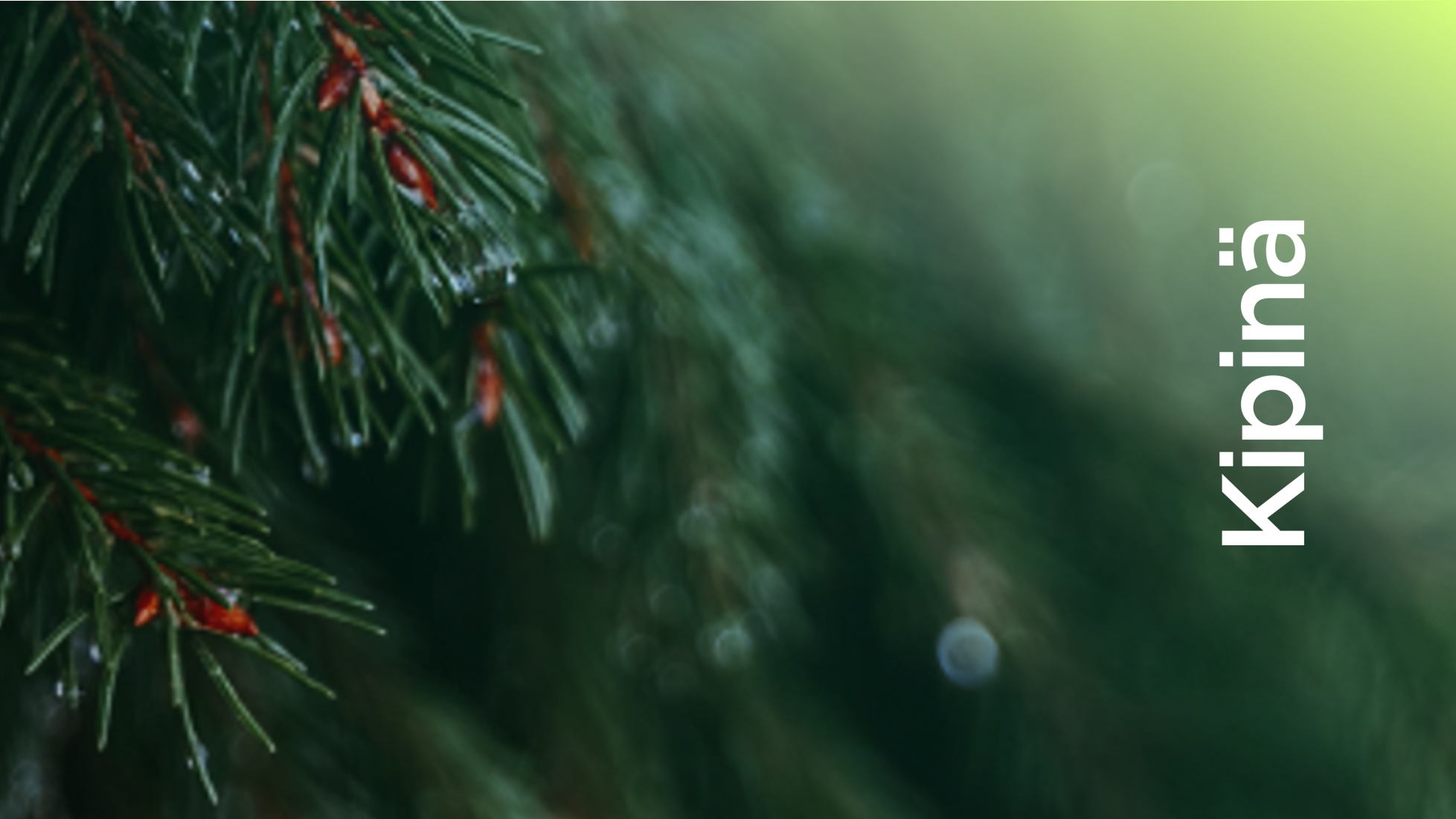 Kipinä 5 vuotta! Tekoälykyvykäs yhteisö syntyy luottamuksesta, ei teknologiasta