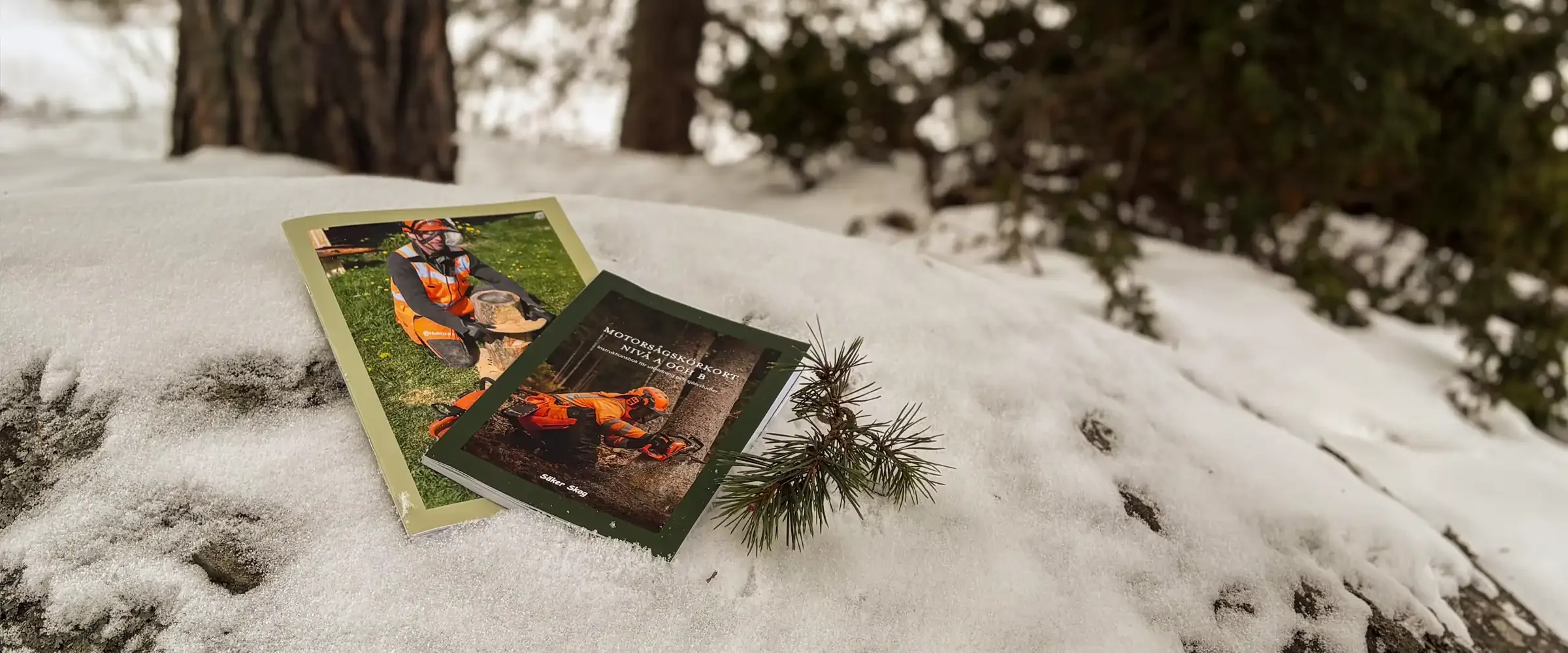 Broschyrer i skogsmiljö