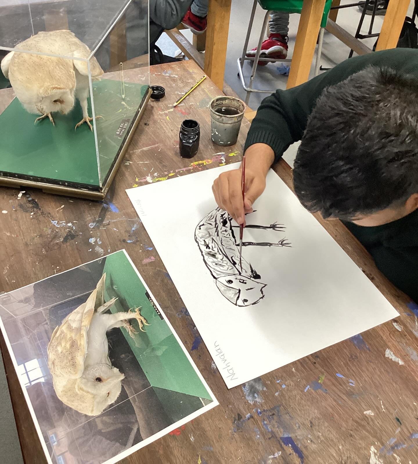 Taxidermy loans from the Horniman Museum have inspired some fantastic observational drawings from our Year 9s in their Art lessons and Year 11s for their GCSE work!