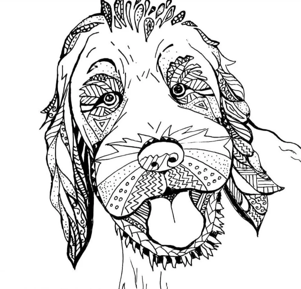 Adult colour in template