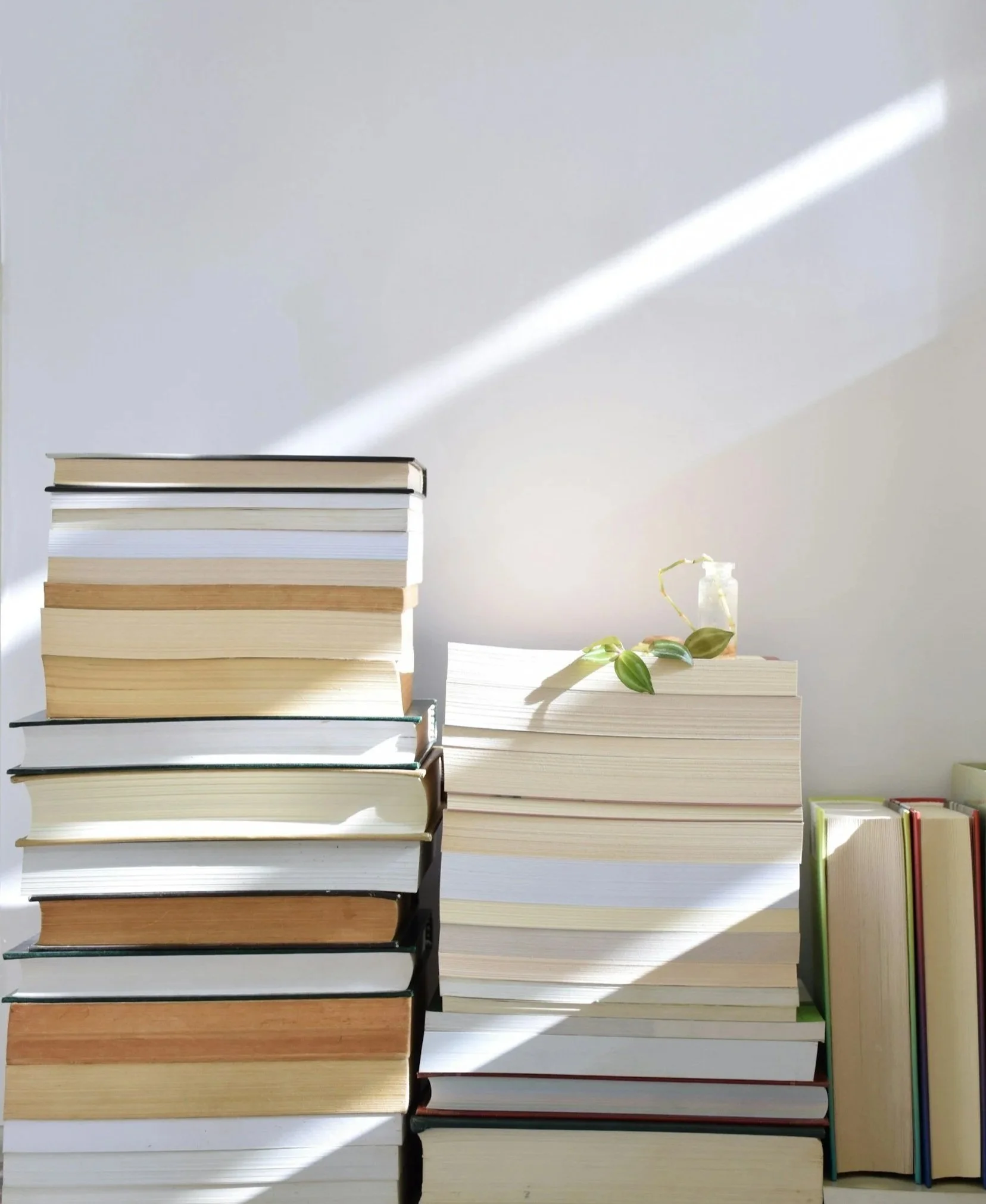 Barbara Knitter Coaching Publikationen