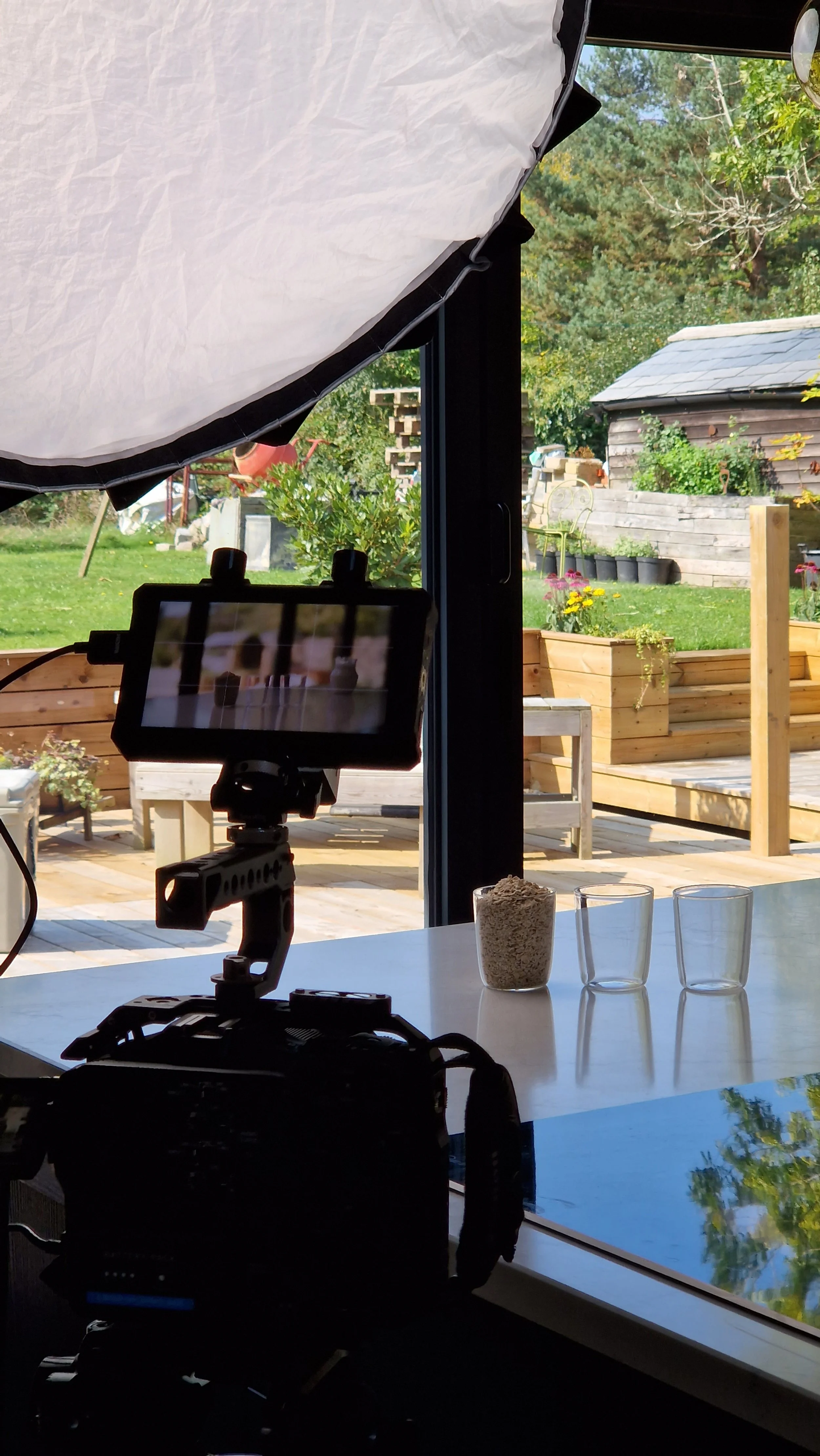 View from inside a room looking out through a large window, with a camera and lighting equipment in the foreground. Outside, there is a wooden deck with raised garden beds, potted plants, and lawn, with a shed and trees in the background.