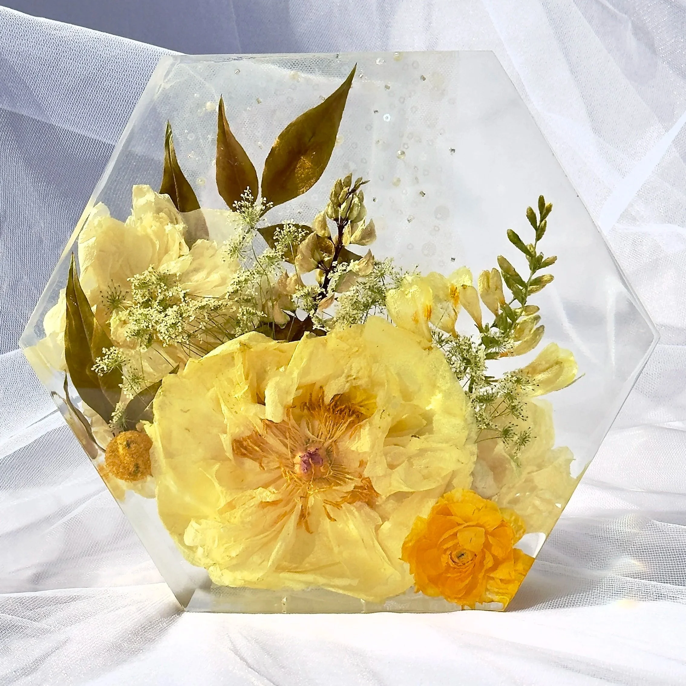 Floral Preservation Hexagon