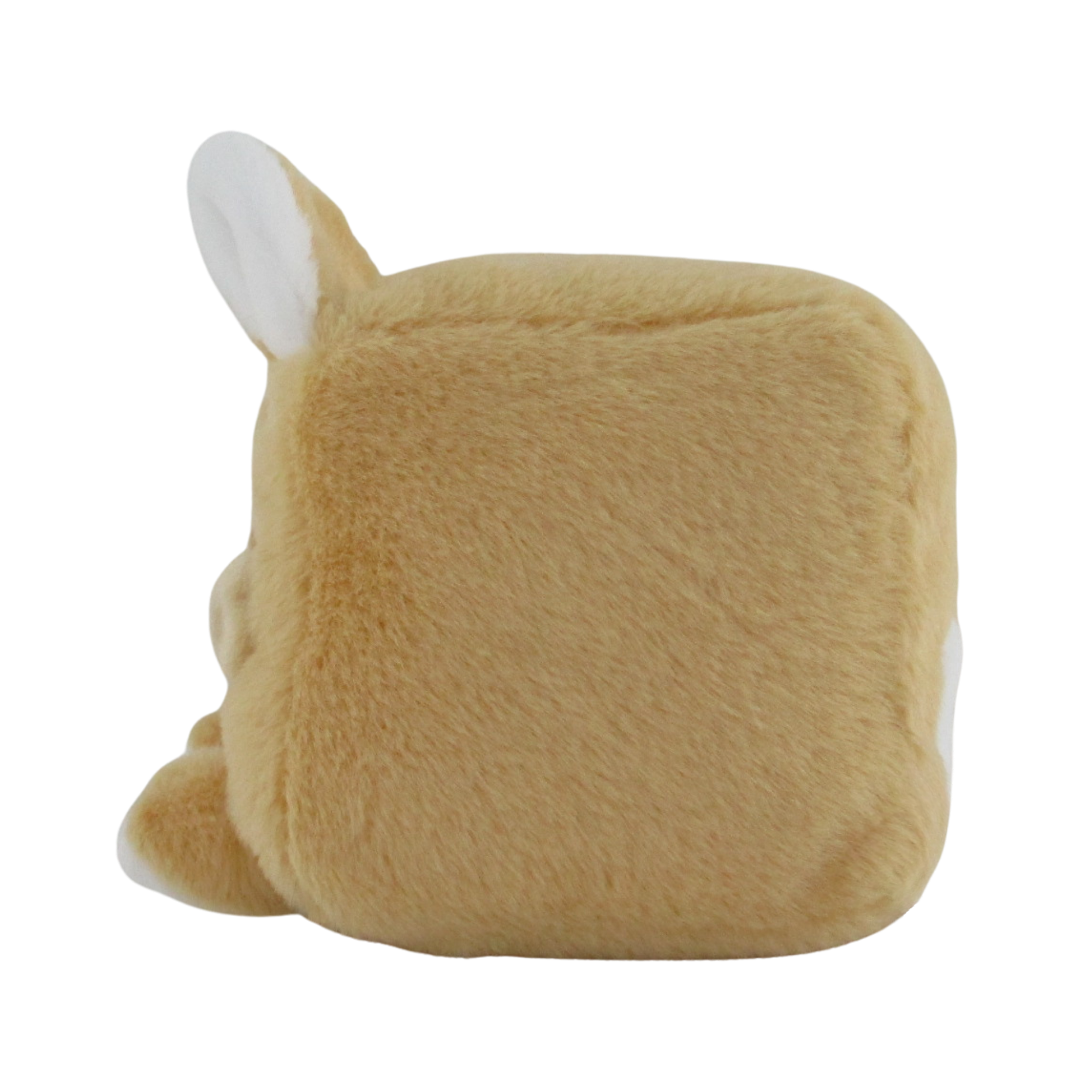 CC379-8CORG2.png