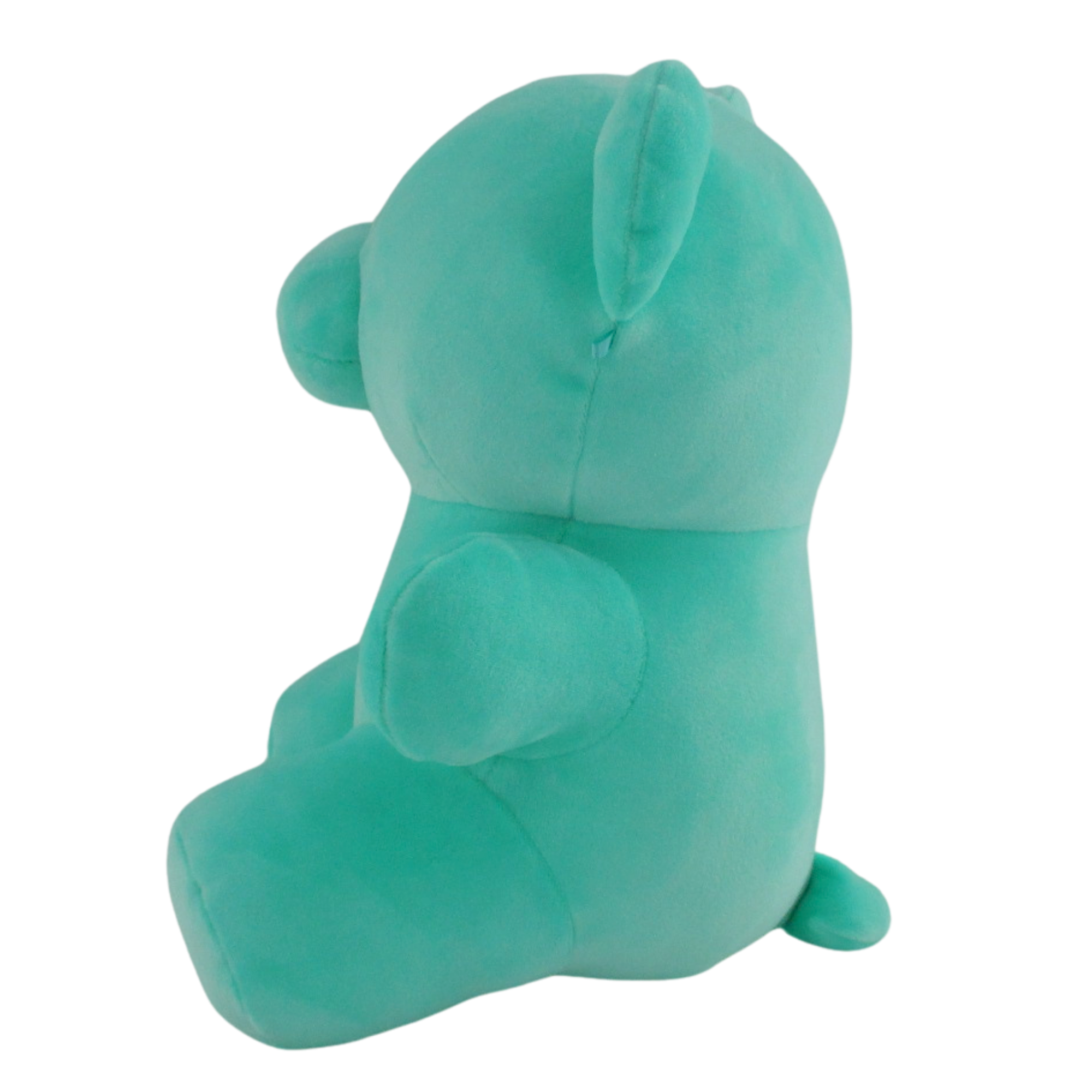 CB1284-8TEAL2.png