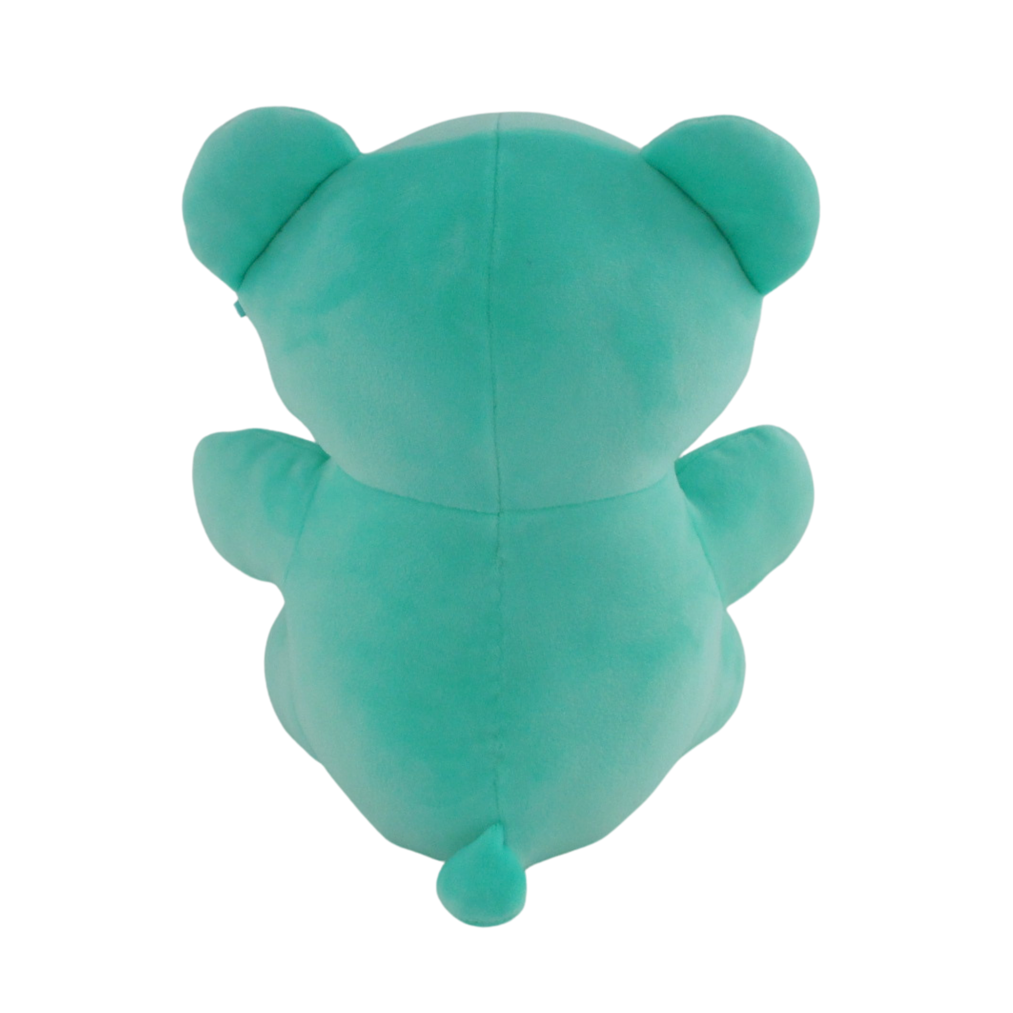 CB1284-8TEAL3.png