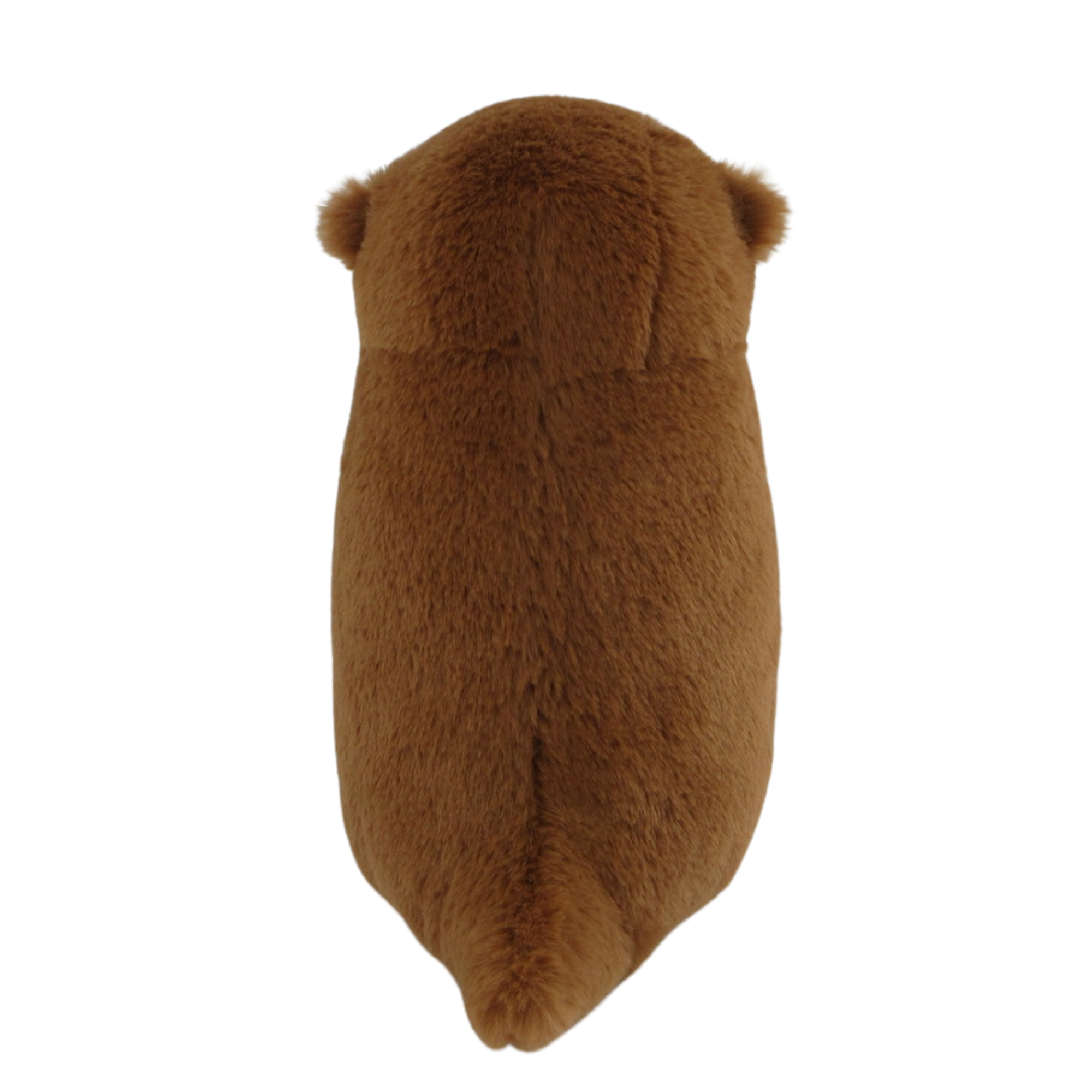 YP1054-8BEACH3.png