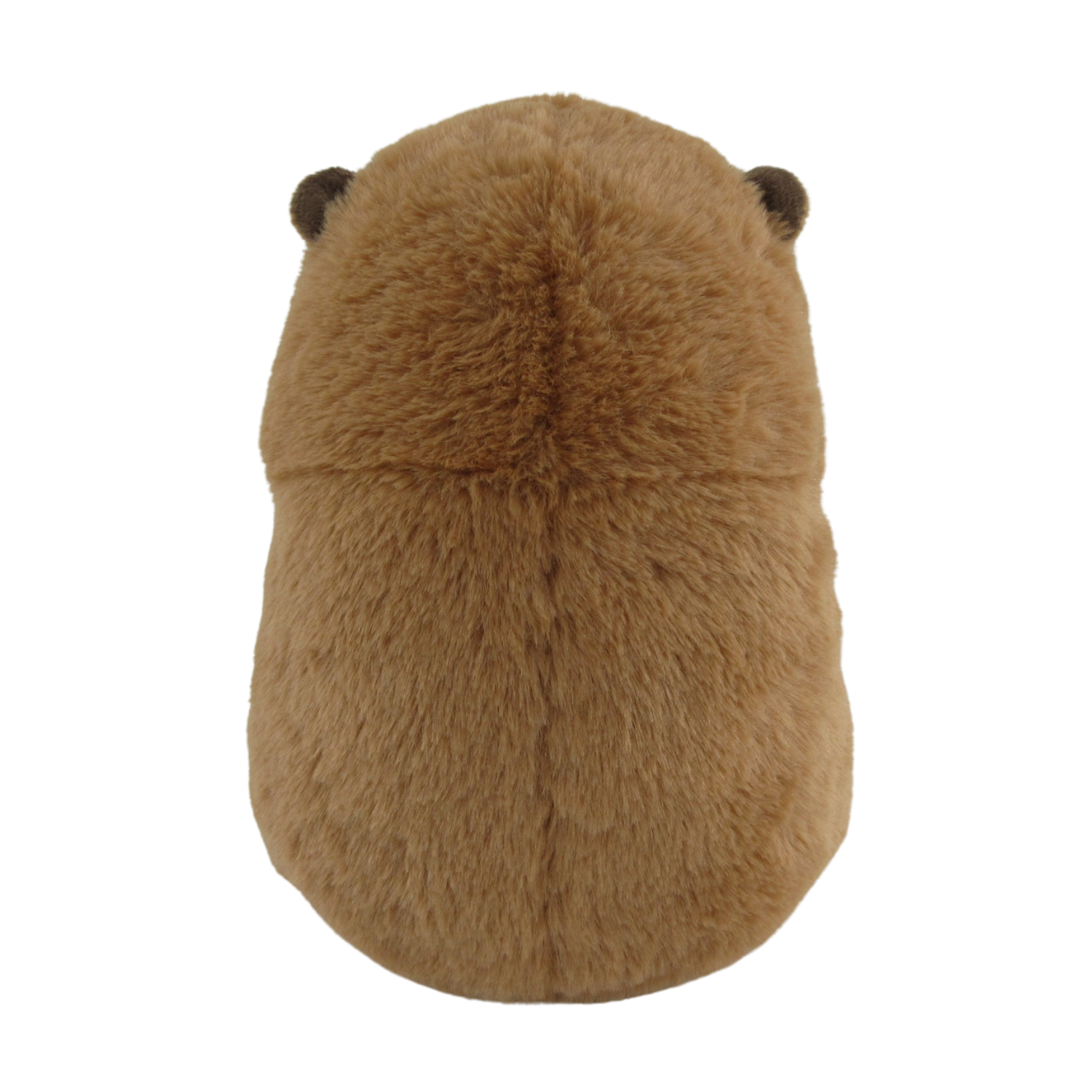 knubby_capy_03.png