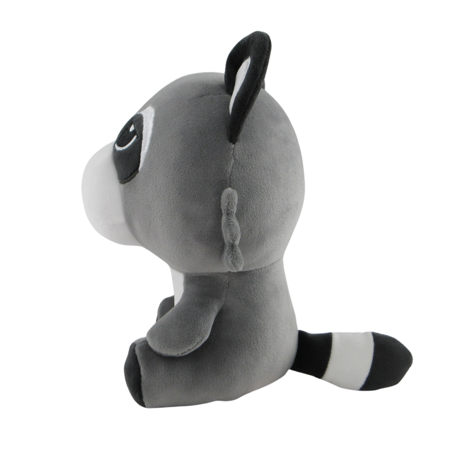 baby_raccoon_02.png