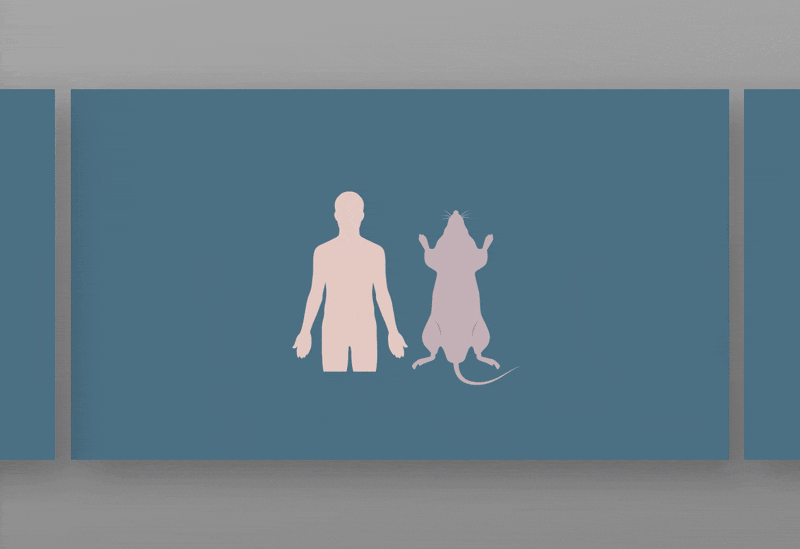 Publication figure adapted for and animated in PowerPoint | Center for Basic Metabolic Research, University of Copenhagen
