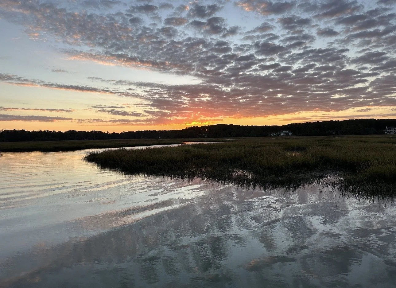 Rose Hill Plantation in Bluffton, SC: What Makes This Community So Special?