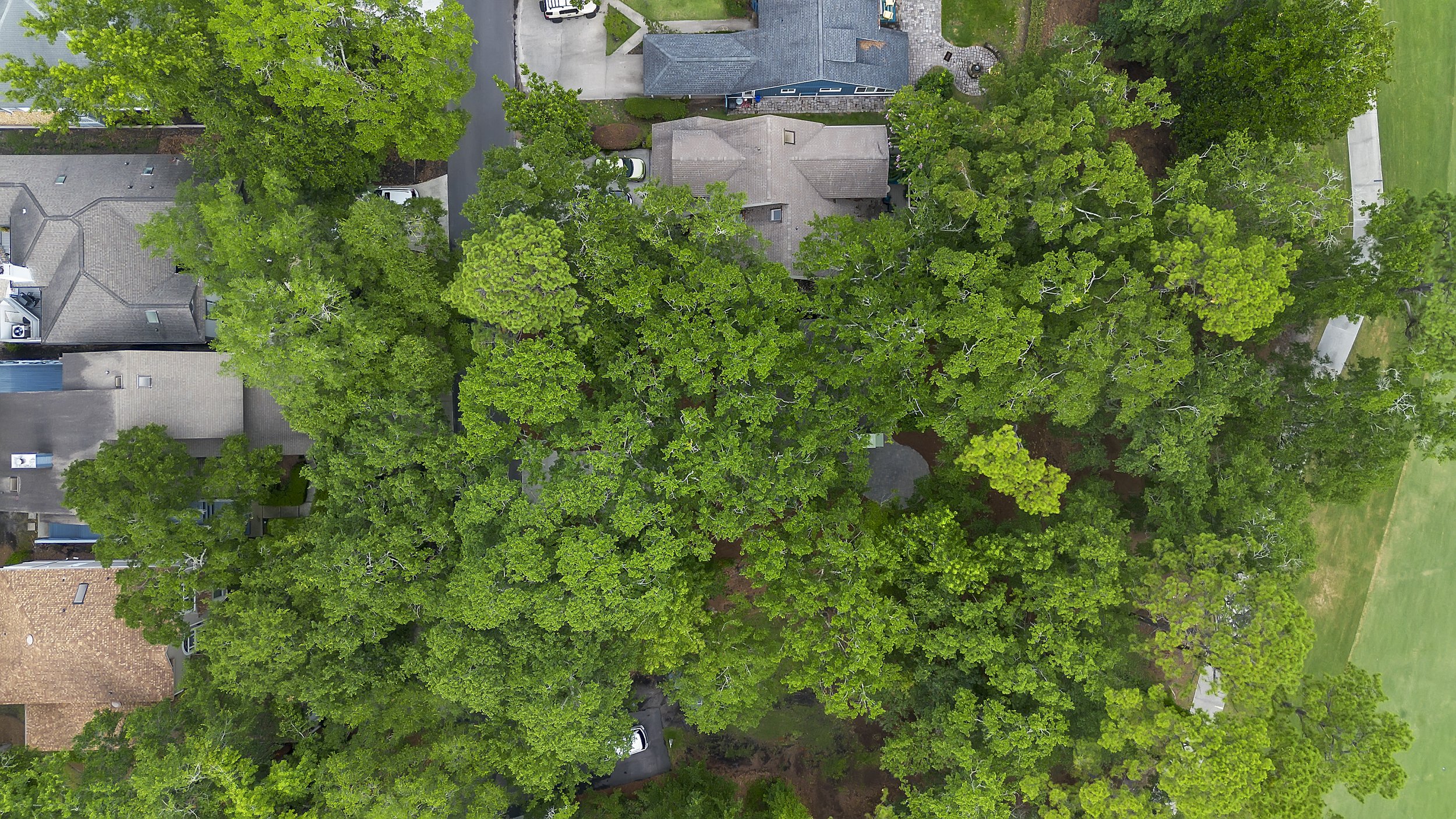 DJI_0844.jpg