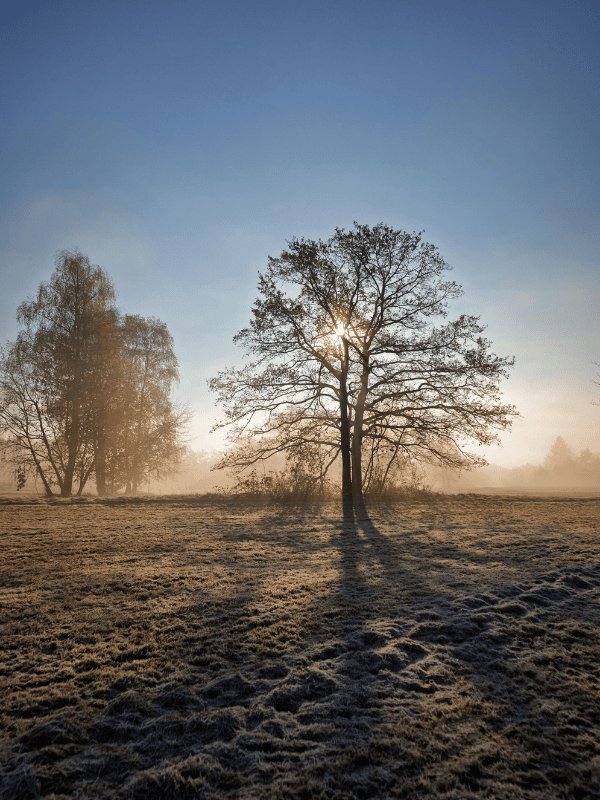Paysage Matin - Demeures Vejoll