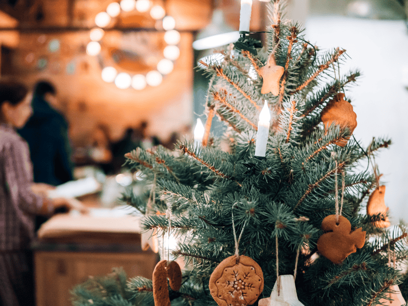 Epernay France Marché de Noel Maison Vejoll