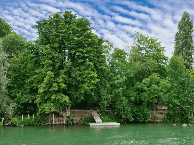 Banks of the River Marne, France