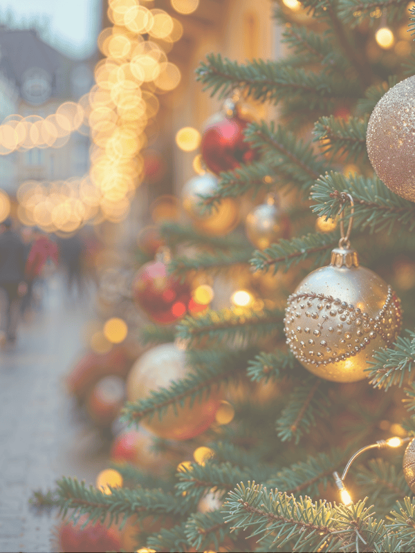 guirlandes lumineuses Maison Vejoll