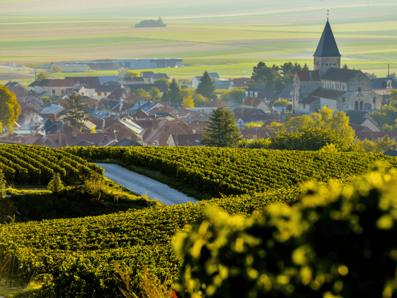 Vineyard and Village in Champagne, France