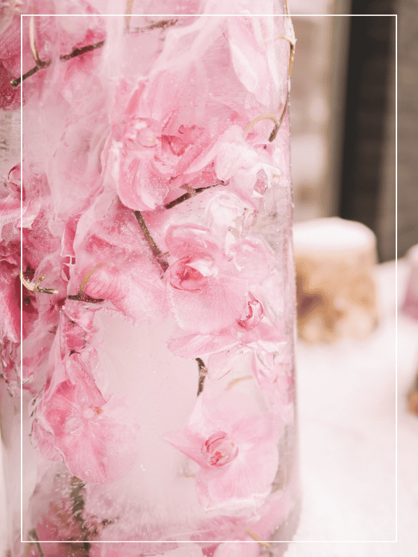 Fleurs rose dans un bloque de glace sur une table