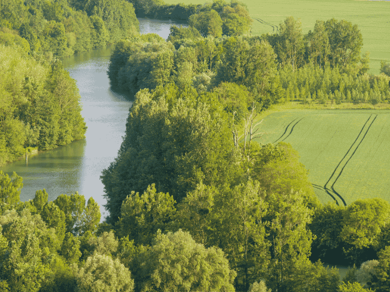 River Banks Marne , France