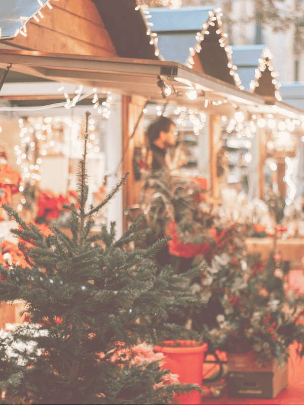 Marché de Noel Maison Vejoll