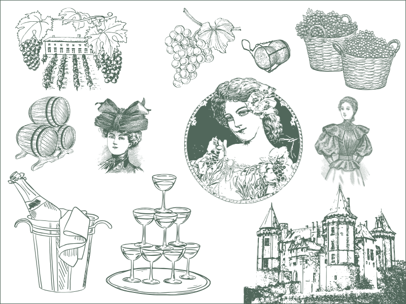 Graphique représentant les Grandes Dames de Champagne