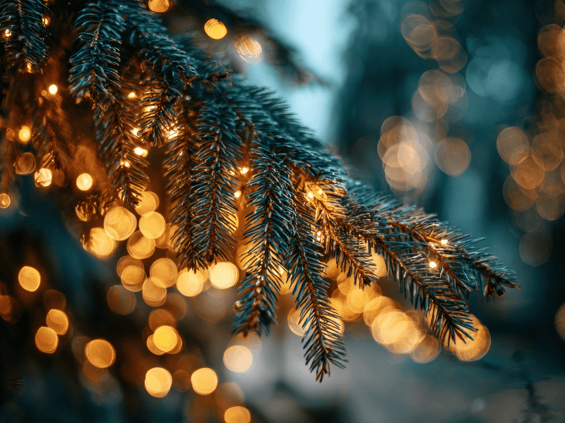 guirlandes lumineuses Maison Vejoll