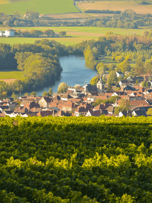 Marne River in Champagne, vineyard and village, France