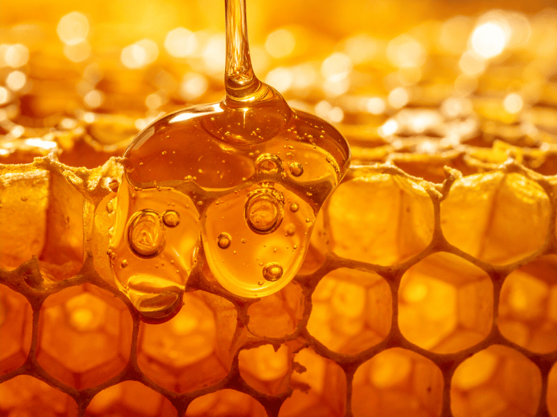 Honeycombs and honey dripping