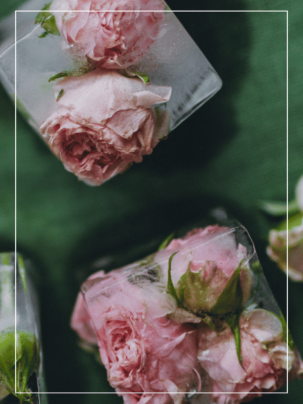 Glaçons avec roses incrustées