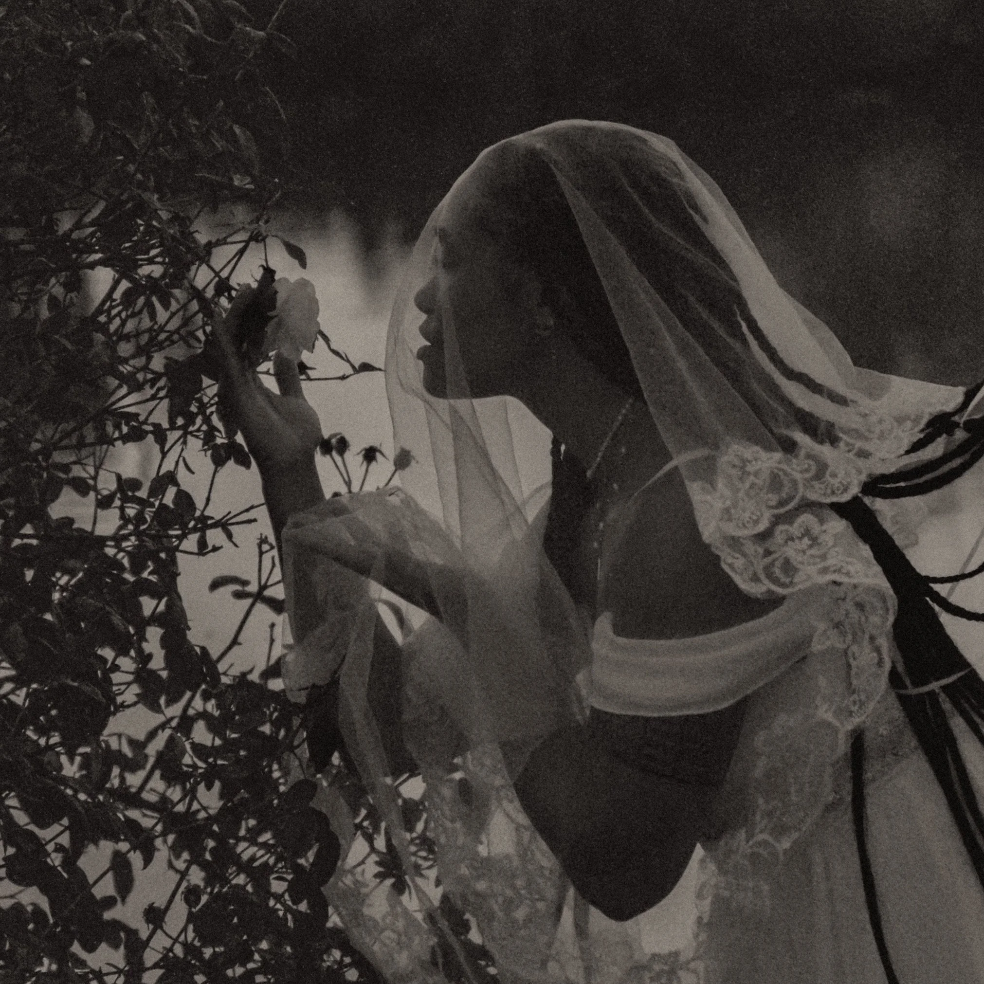 A woman with braided hair, wearing lace and a veil, is seen in profile gently touching a branch with flowers.