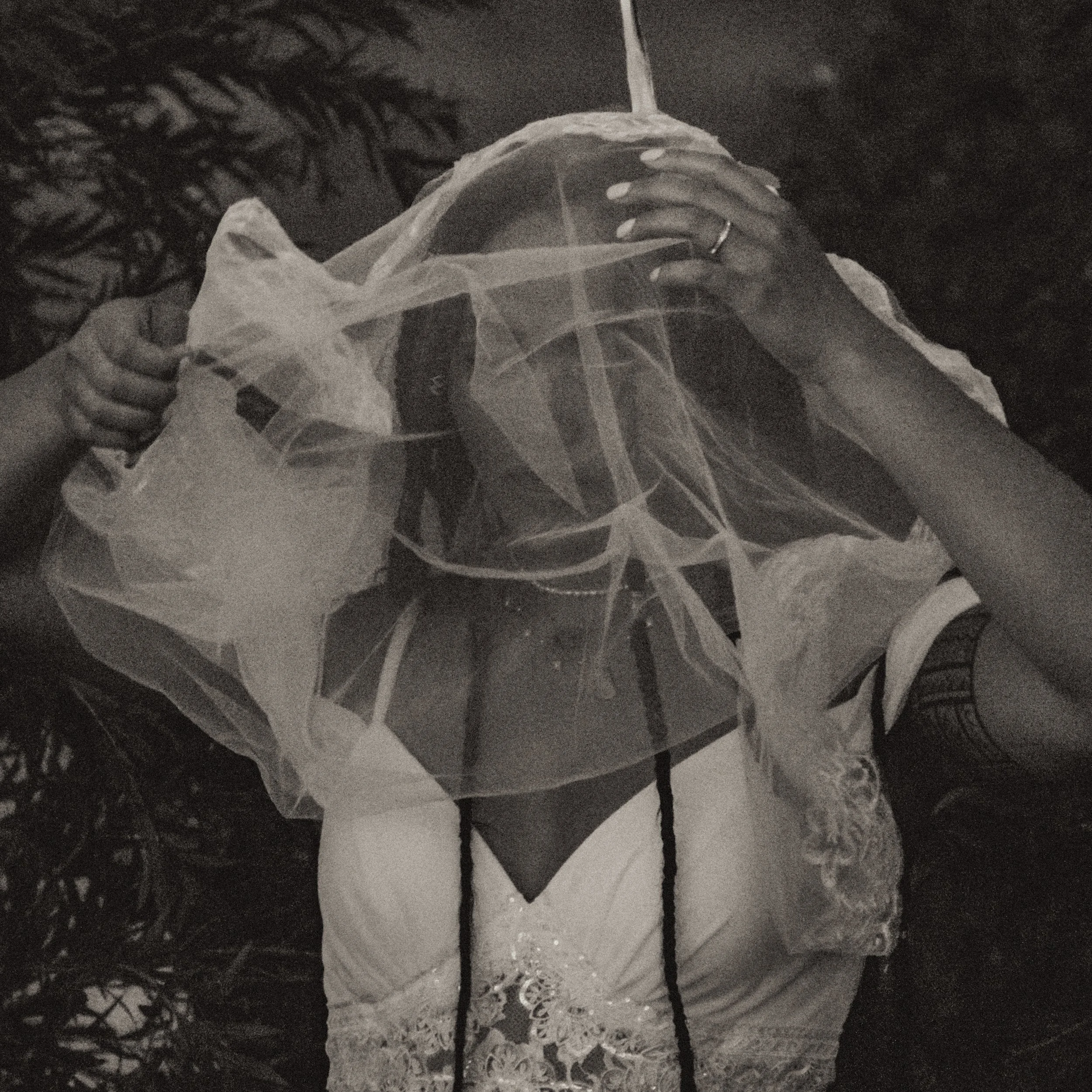 A woman with long braids wearing a white lace dress, holding a sheer veil over her face, standing outdoors near plants.