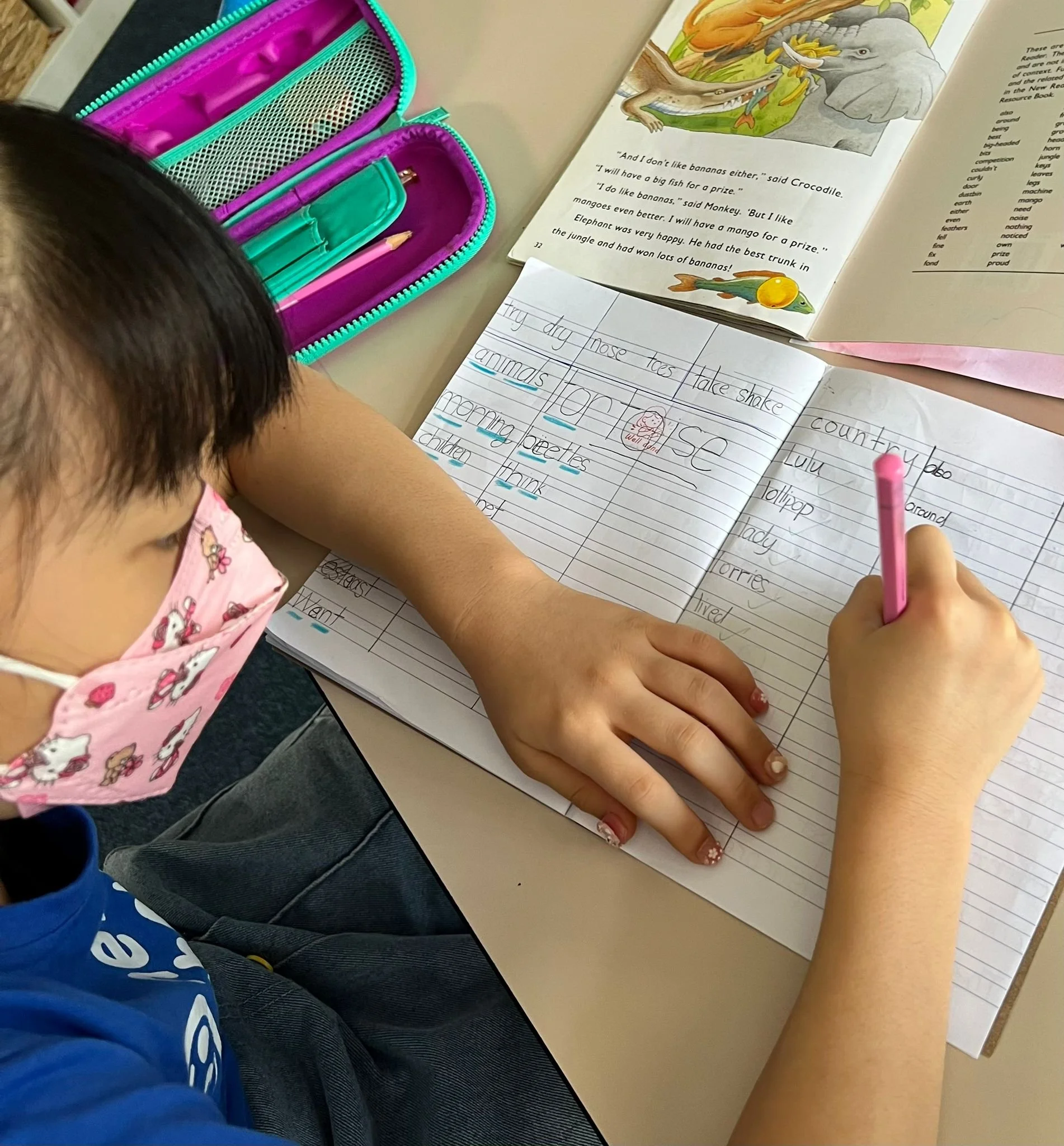 iWrite Writing Programme