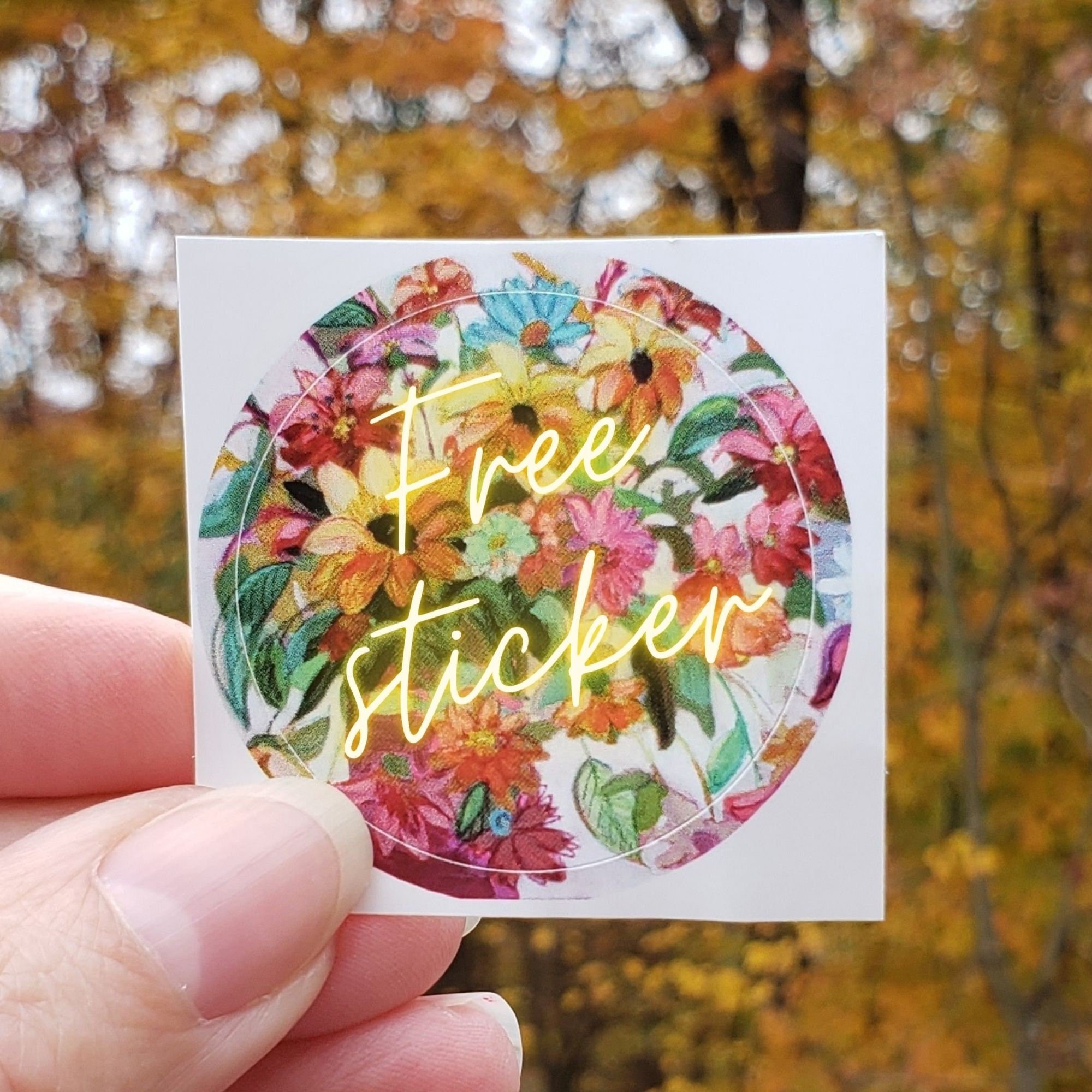https://i.etsystatic.com/13100858/r/il/2b13dd/2655269325/il_fullxfull.2655269325_p8jq.jpg
