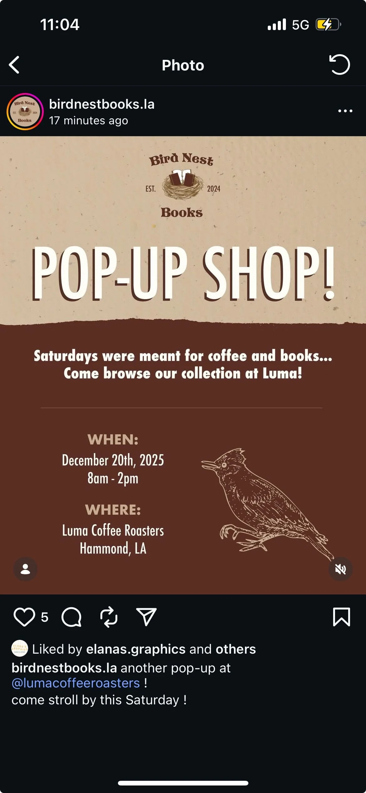 Bird Nest Books Pop Up