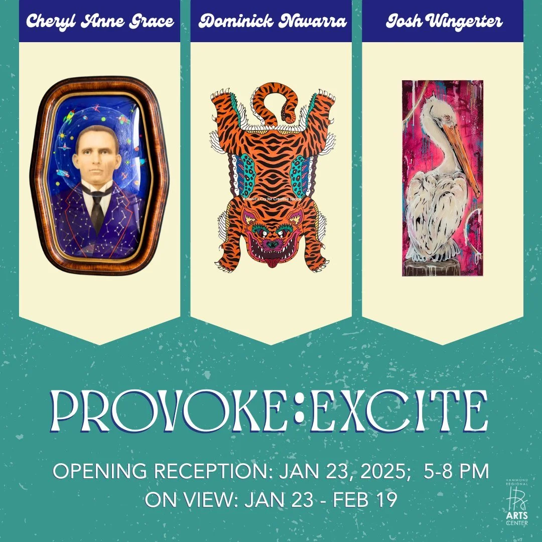 Provoke:Excite Opening Reception