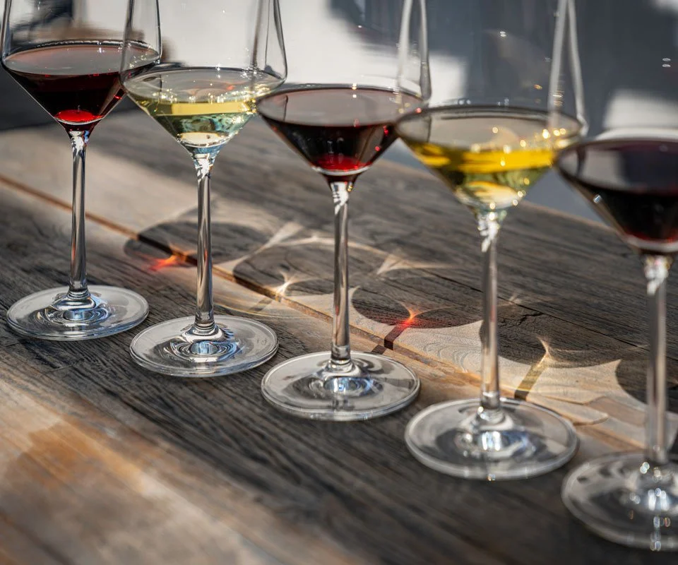 A Tasting of South African Wines