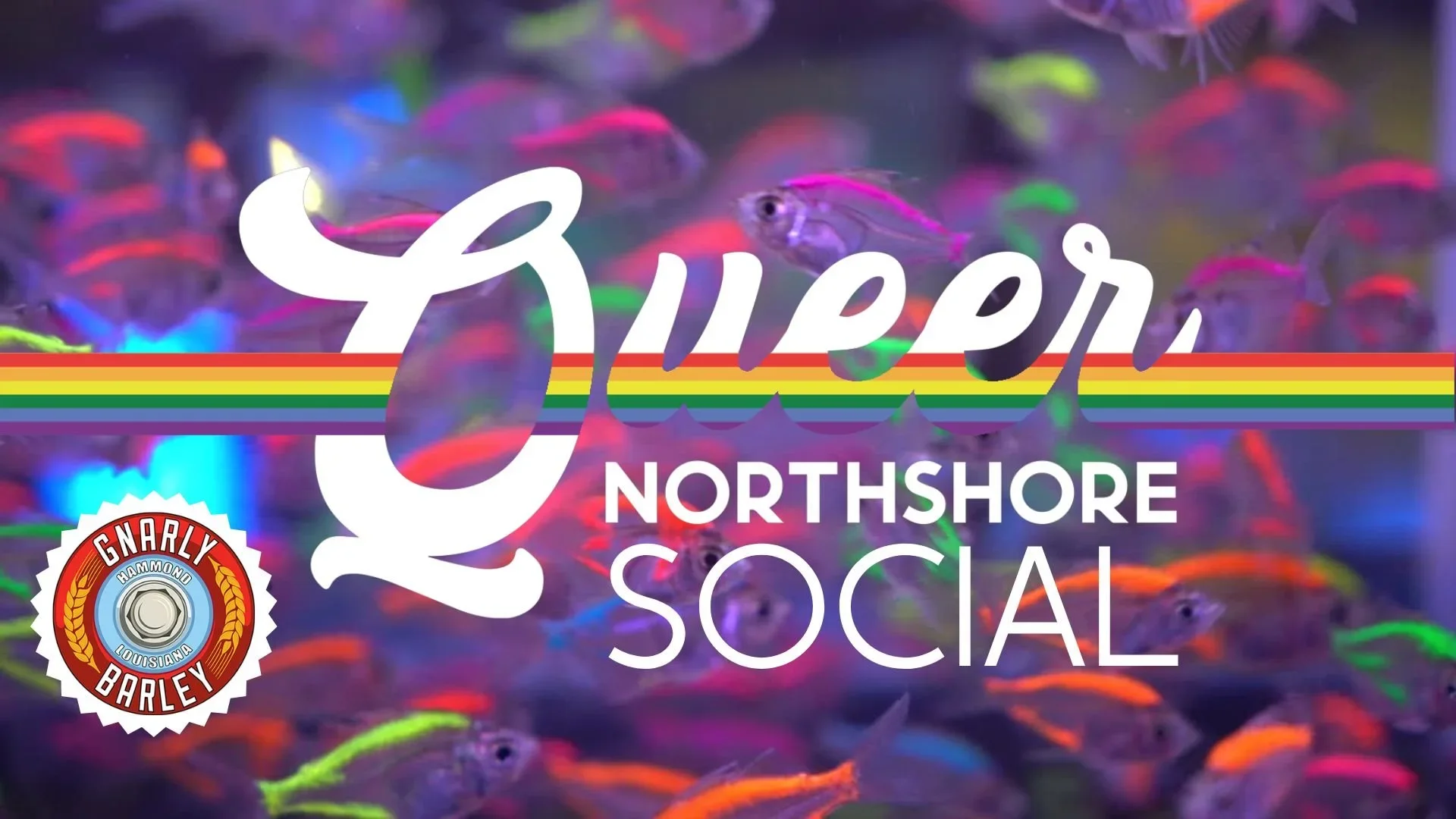 Queer Northshore Social - Monthly Meetup
