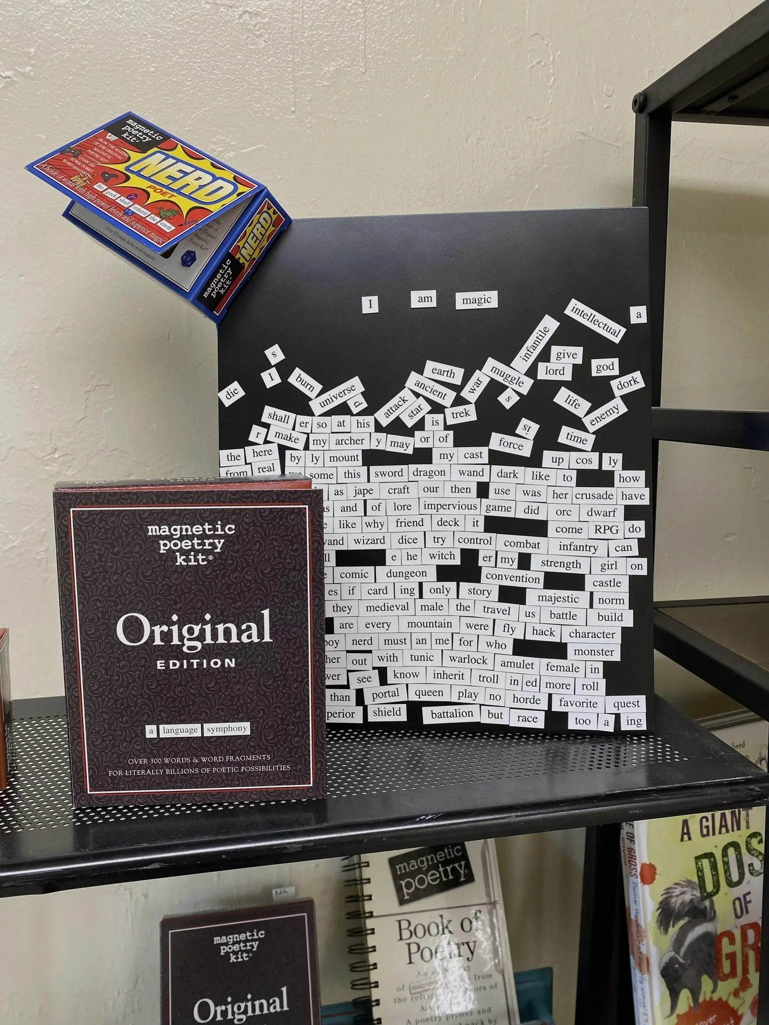 Magnetic Poetry Craft