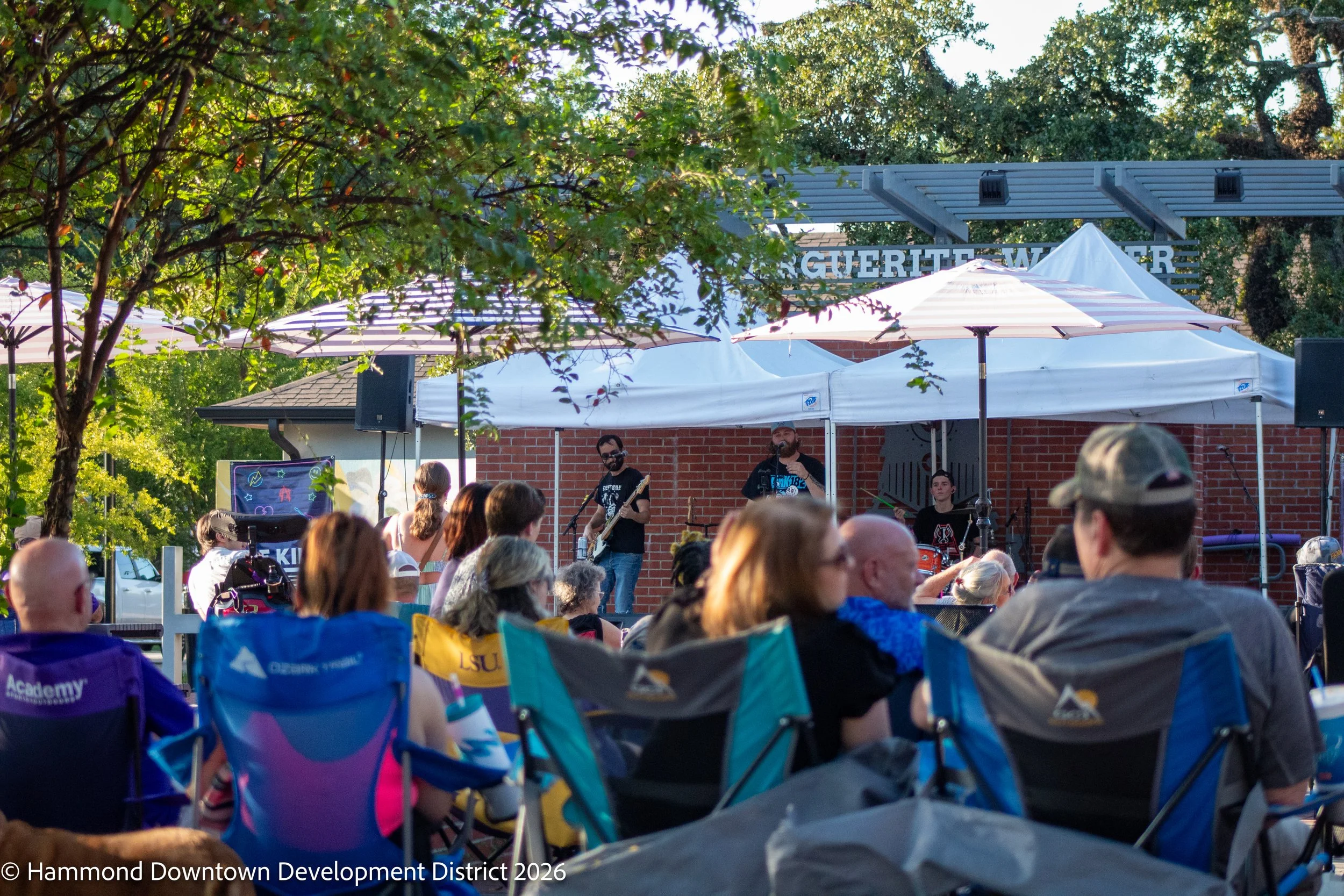 HammondLive0926-2142.jpg