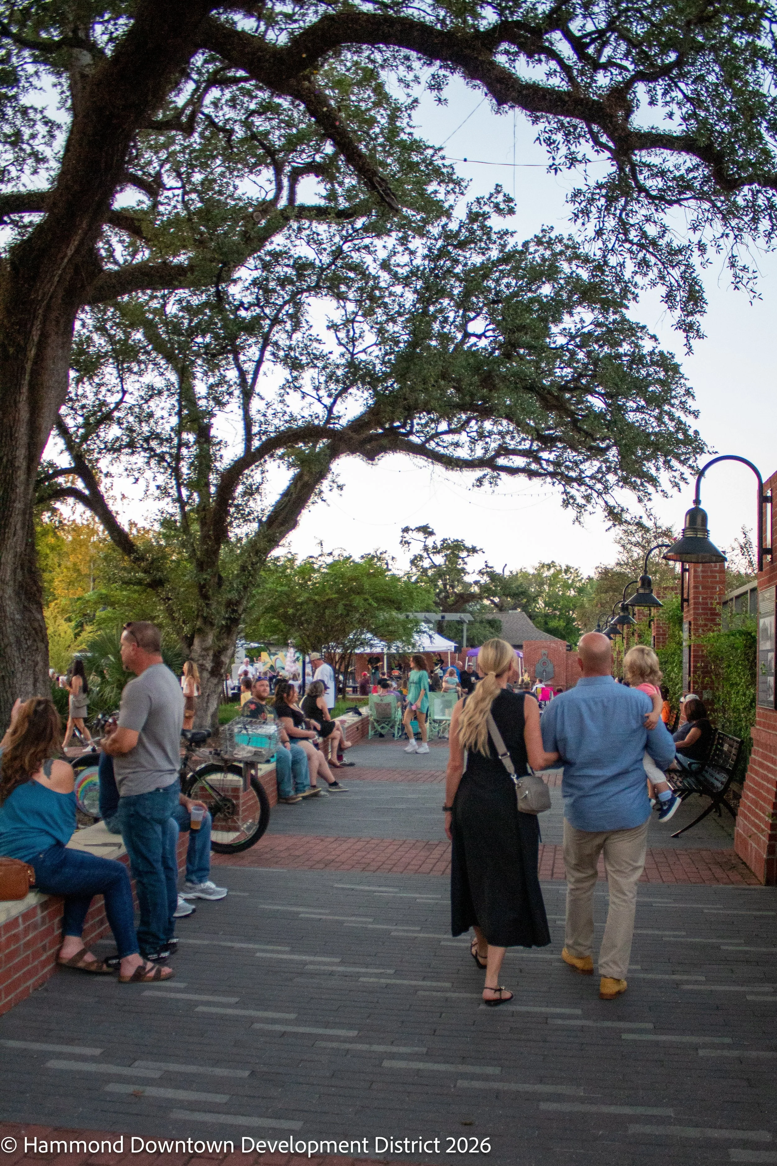 HammondLive0926-2275.jpg