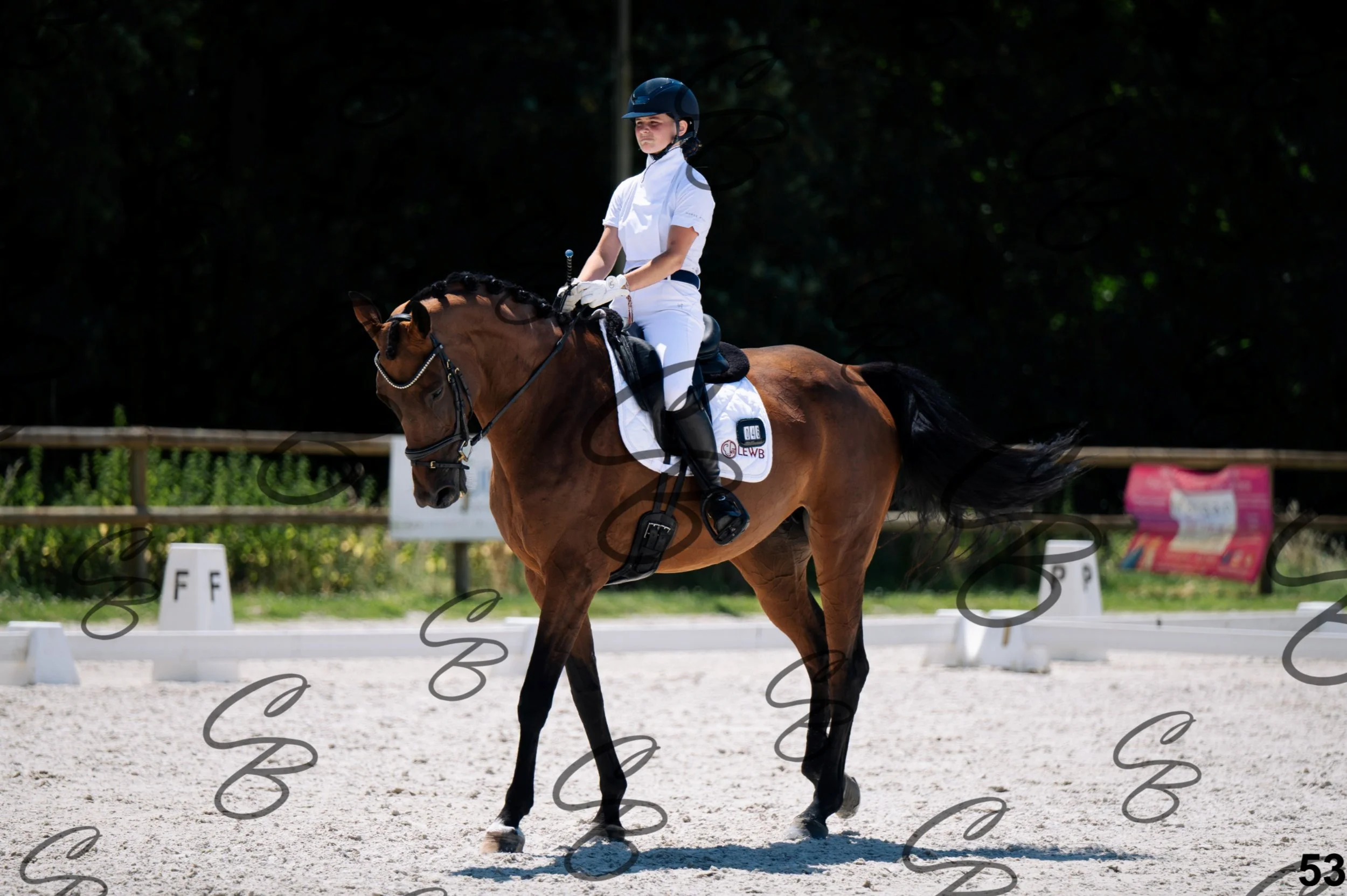 2026.07.12 - Niveau 1 - N1.5-53.jpg