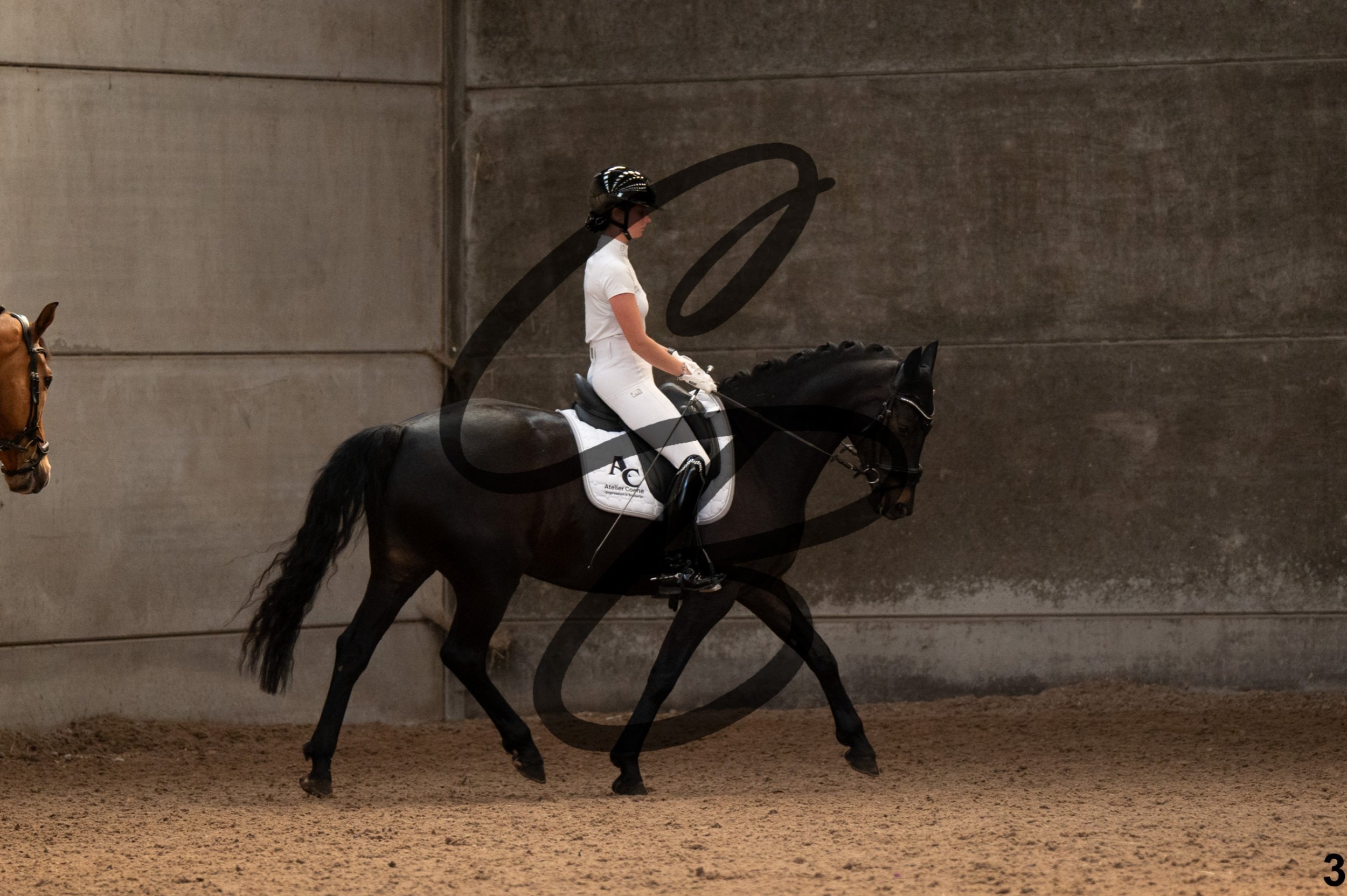 2026.04.26 - Manon - Grand Reng-3.jpg