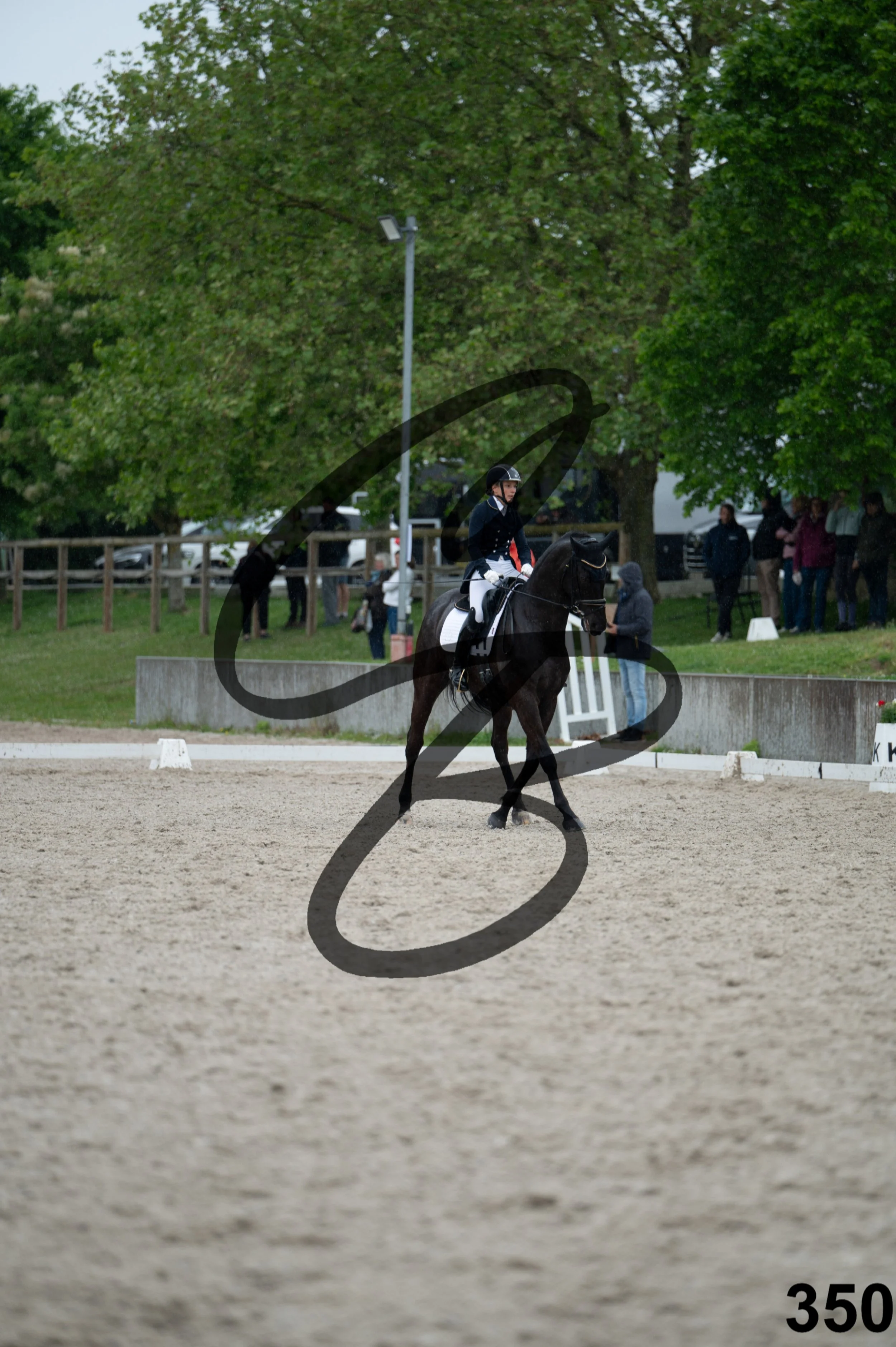 03052026-FLE_7763.jpg