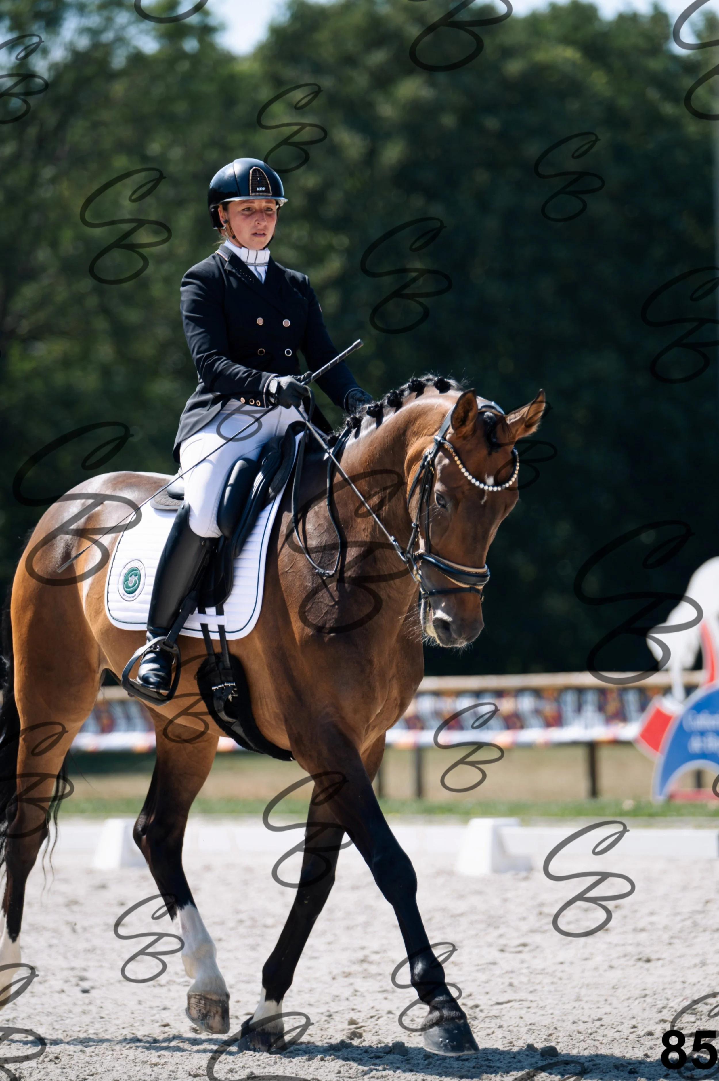 2026.07.12 - Niveau 2 - N2.4-85.jpg