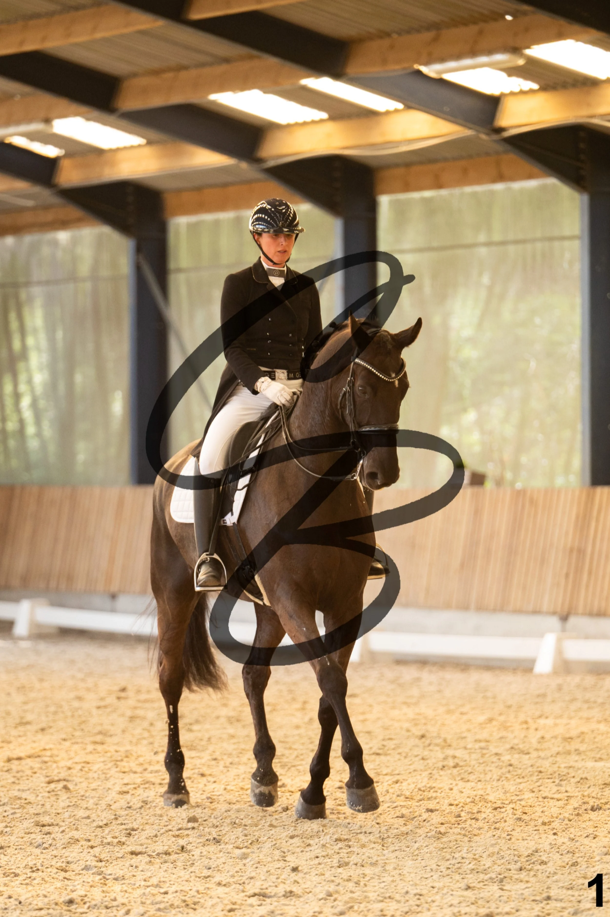 2026.03.22 - grand prix-1.jpg