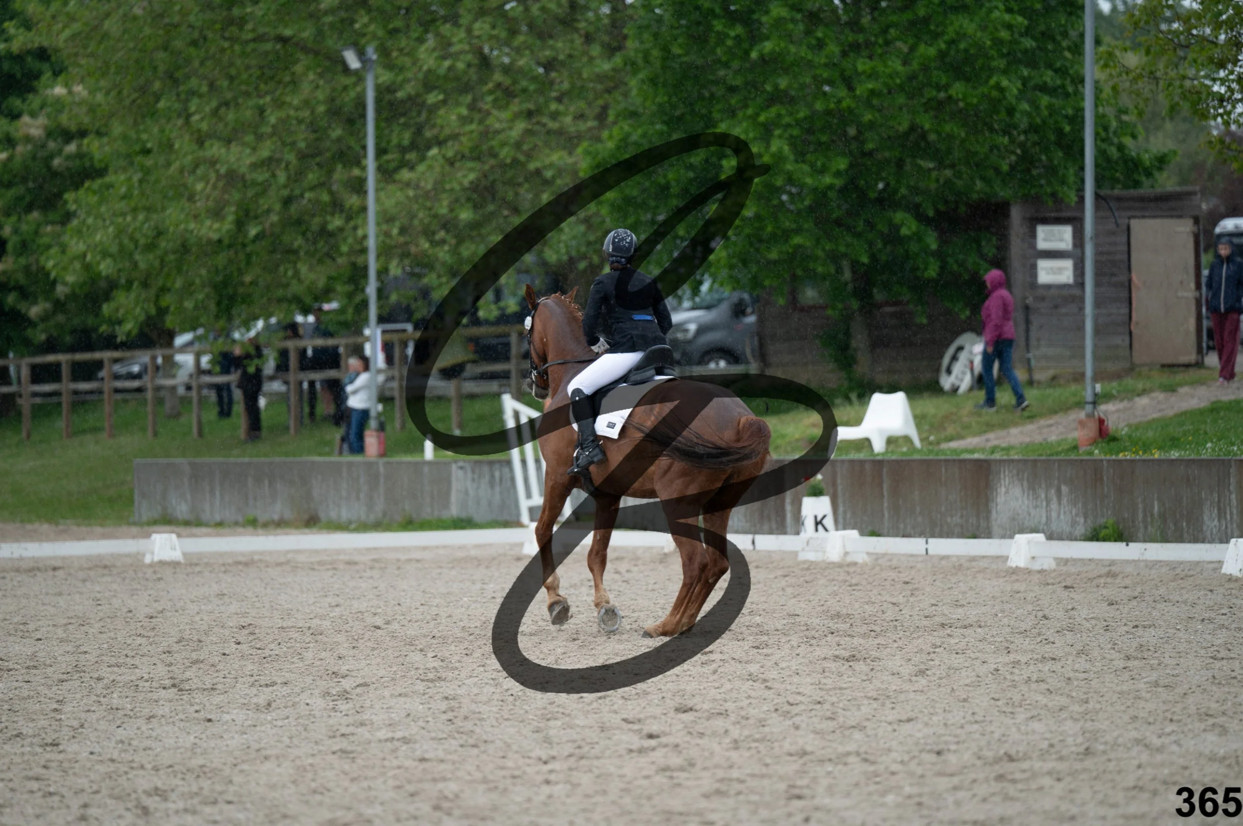 03052026-FLE_7848.jpg