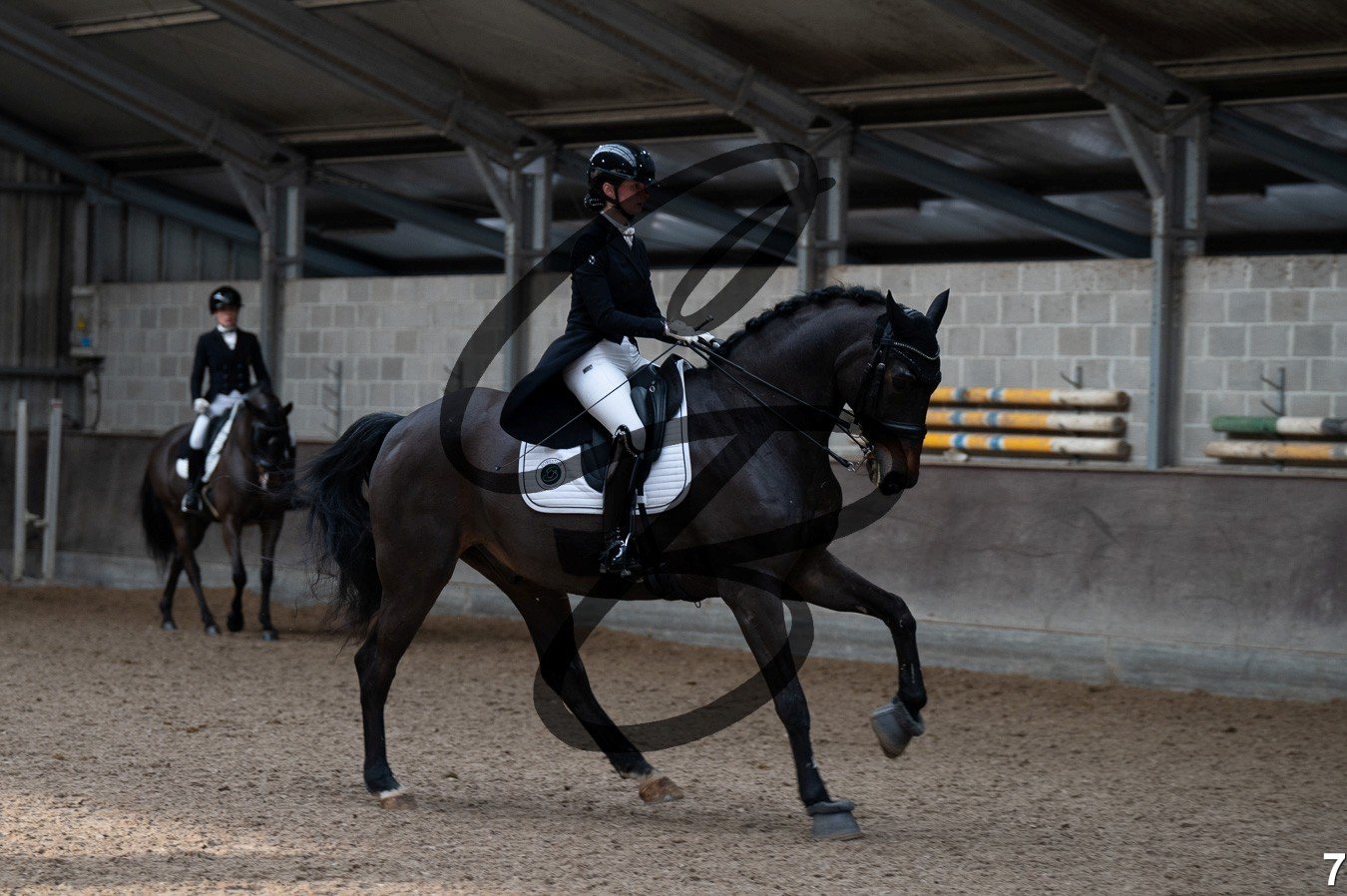 2026.01.25 - Bilzen-7.jpg