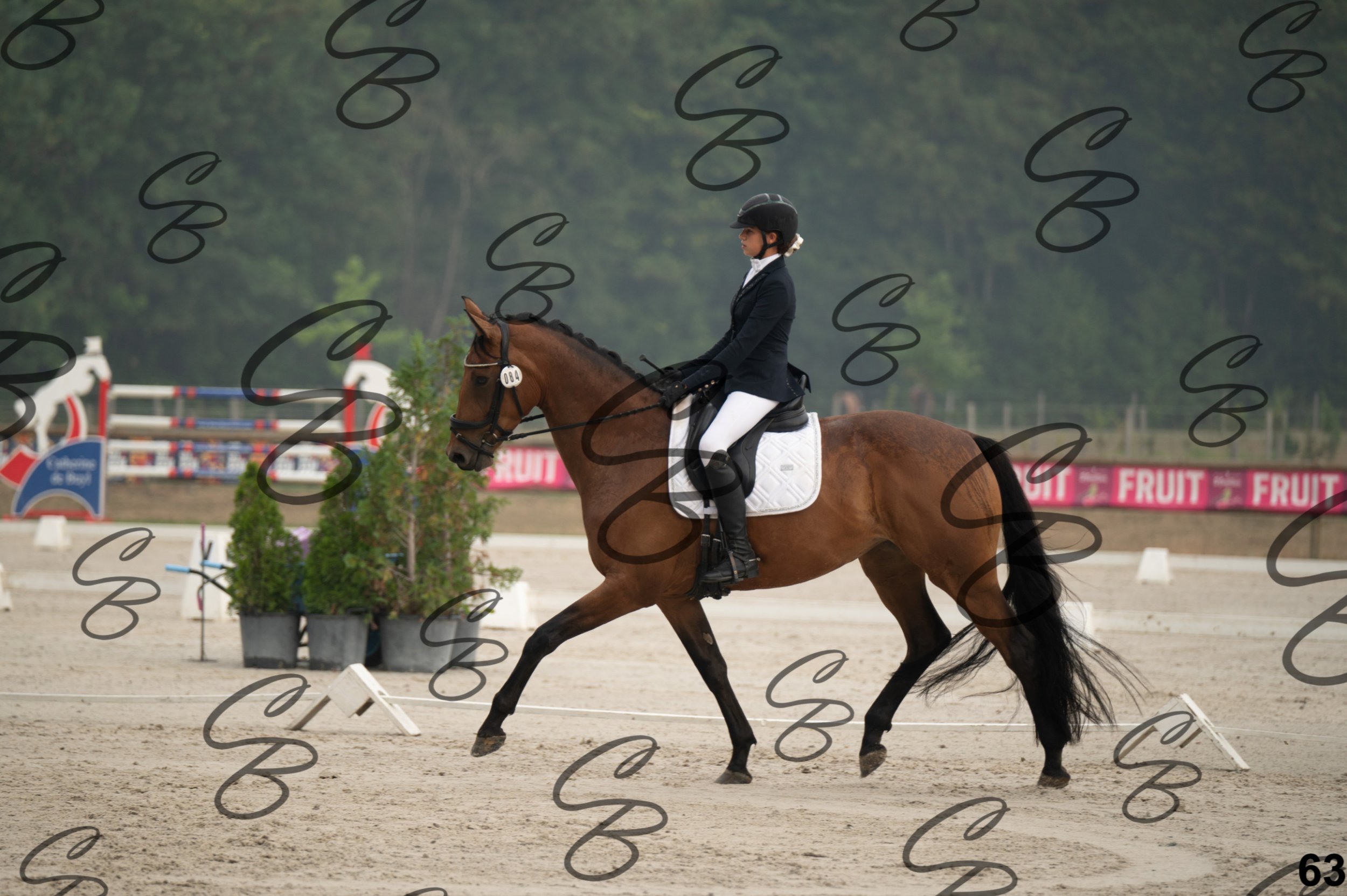 2026.08.15 - Louchier - GHO-97.jpg