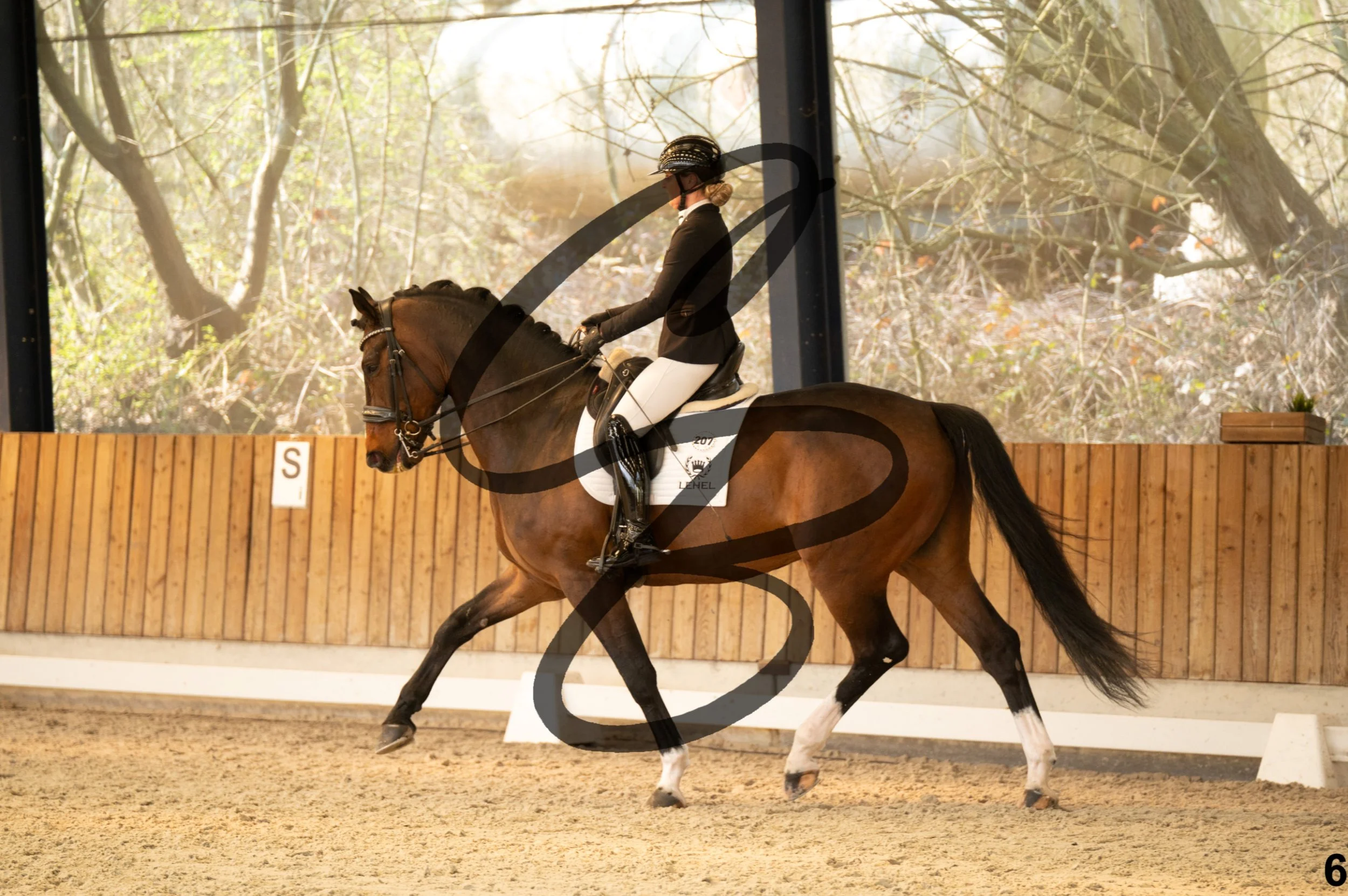 2026.03.22 - Grade 5 - grand prix test B-6.jpg