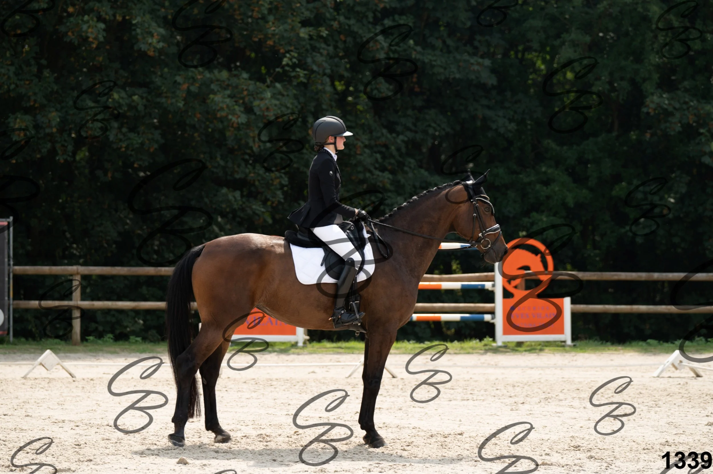 2026.08.15 - Louchier - GHO-1314.jpg